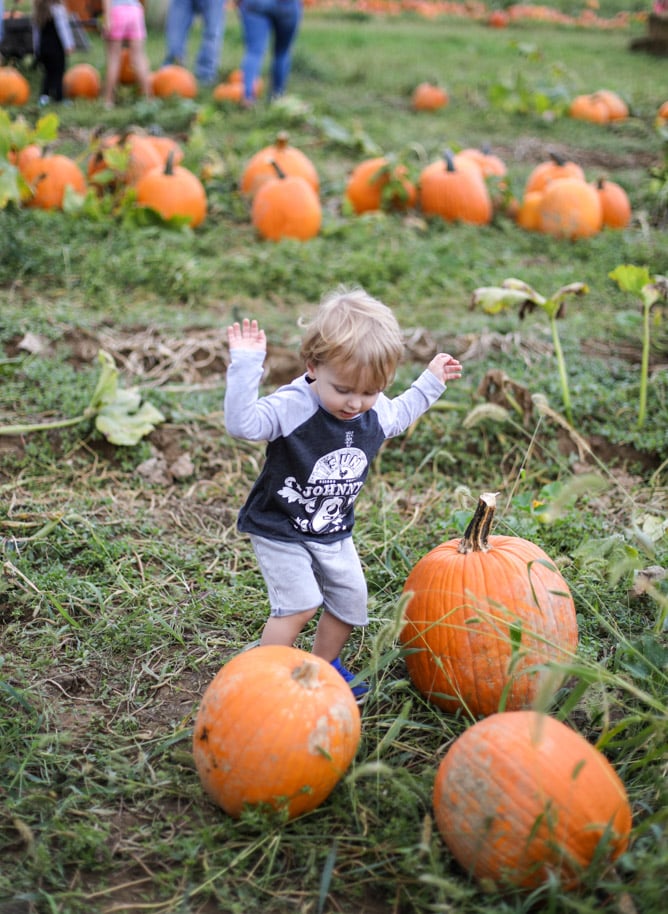 max moments I howsweeteats.com