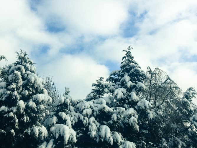 12 days of Christmas I a day in the life I GIVEAWAY I howsweeteats.com 