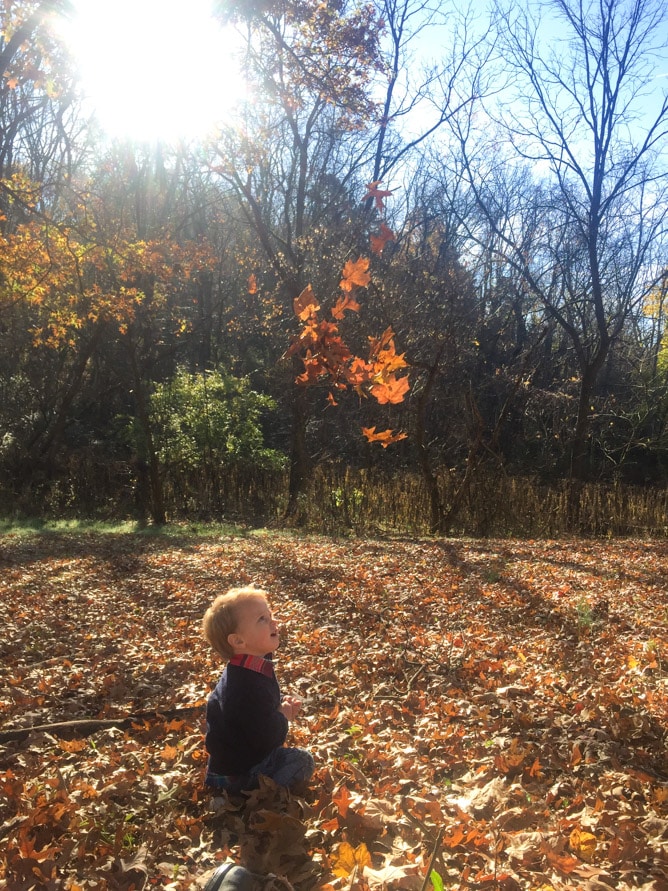 life with max two years in I howsweeteats.com 