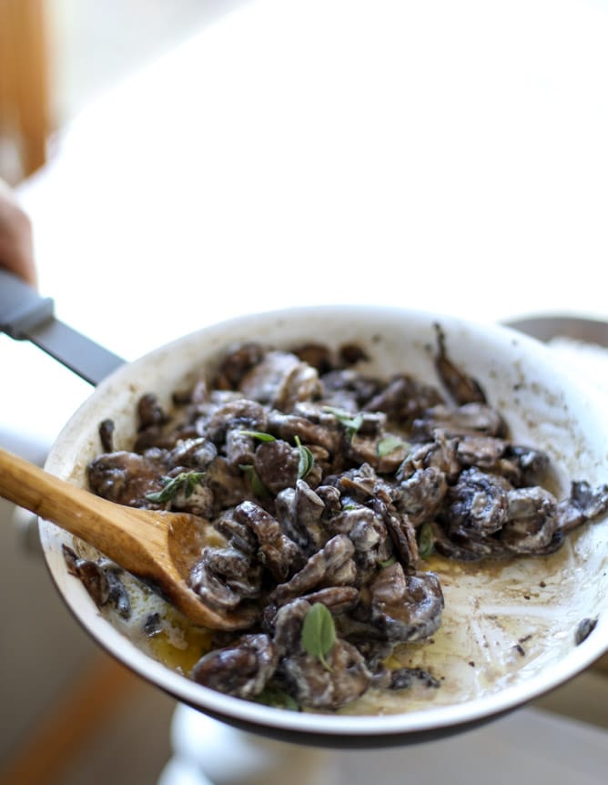 portobello mushroom galette with gruyere thyme crust I howsweeteats.com 
