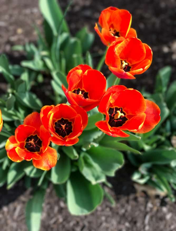 easter weekend I howsweeteats.com-4-2