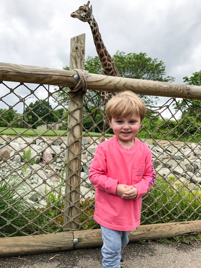 memorial day weekend I howsweeteats.com 