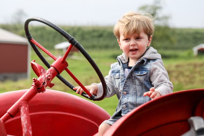 strawberry picking I howsweeteats.com 