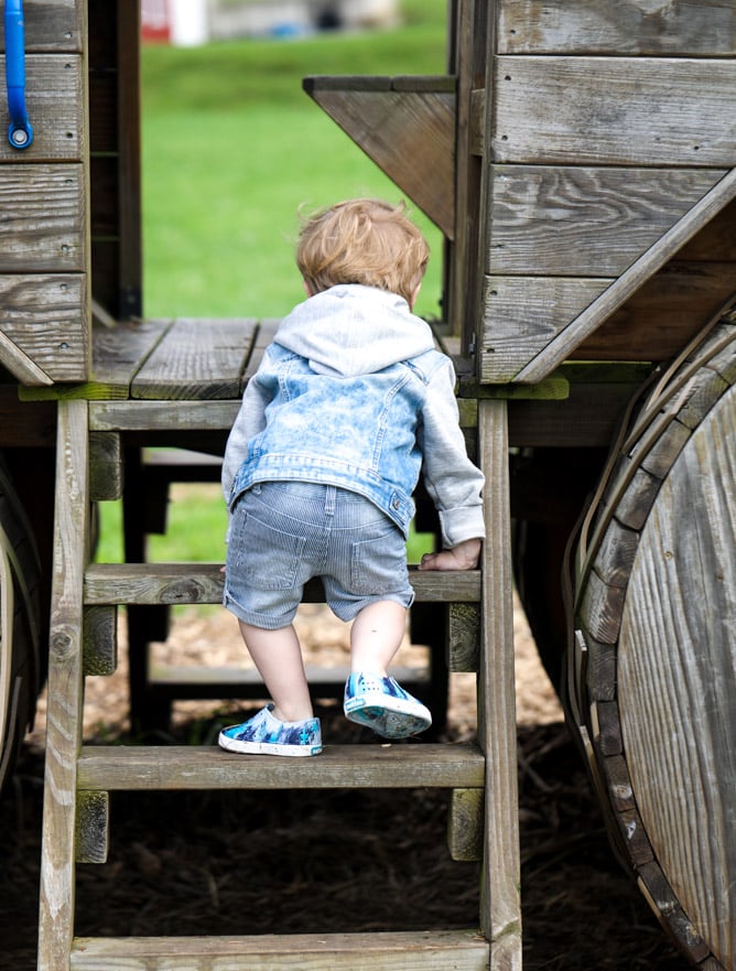 strawberry picking I howsweeteats.com 