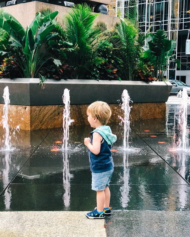 weekend snapshots I howsweeteats.com