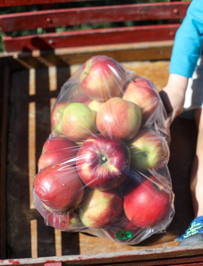 adventures in apple picking I howsweeteats.com
