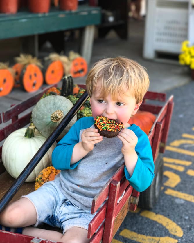 adventures in apple picking I howsweeteats.com