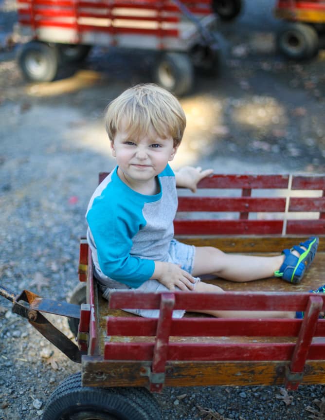 adventures in apple picking I howsweeteats.com