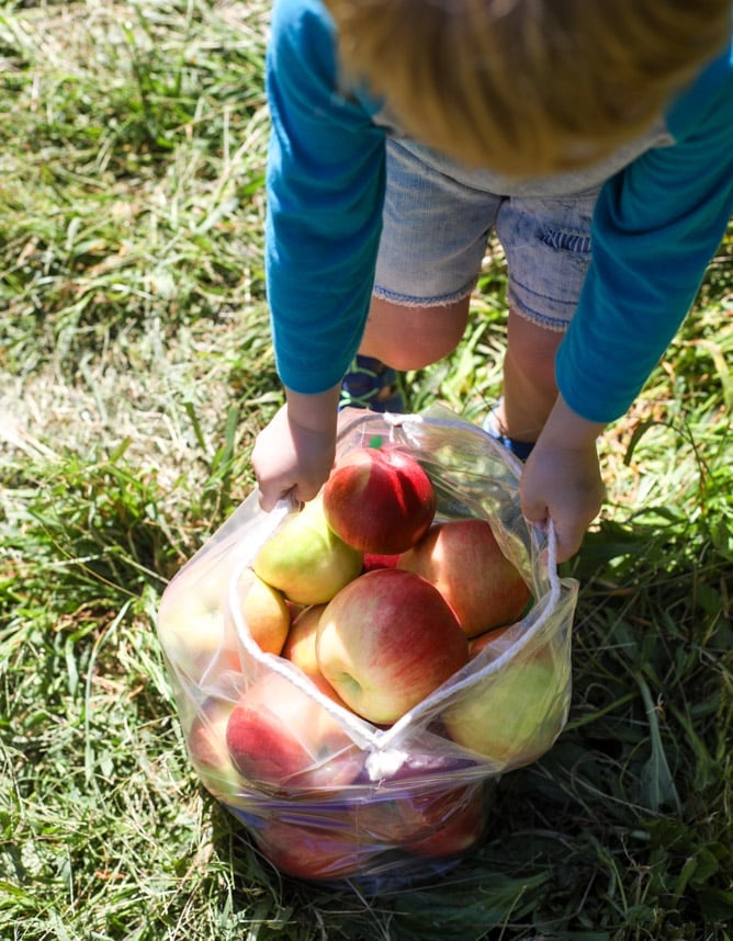 adventures in apple picking I howsweeteats.com