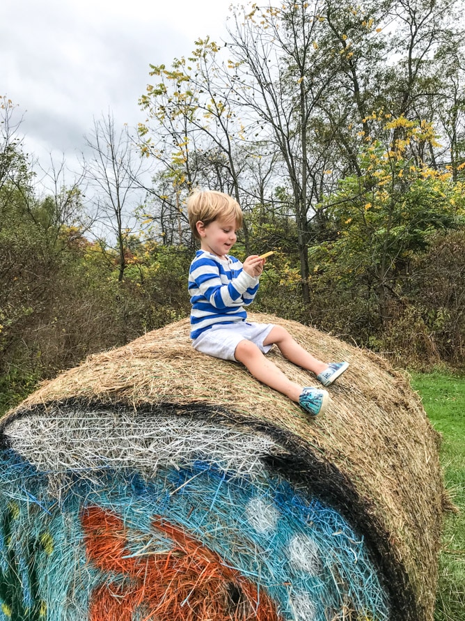 pumpkin patch I howsweeteats.com 