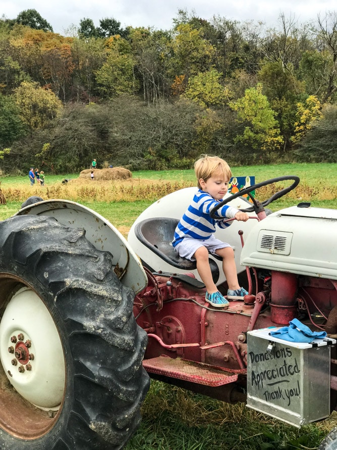 pumpkin patch I howsweeteats.com 