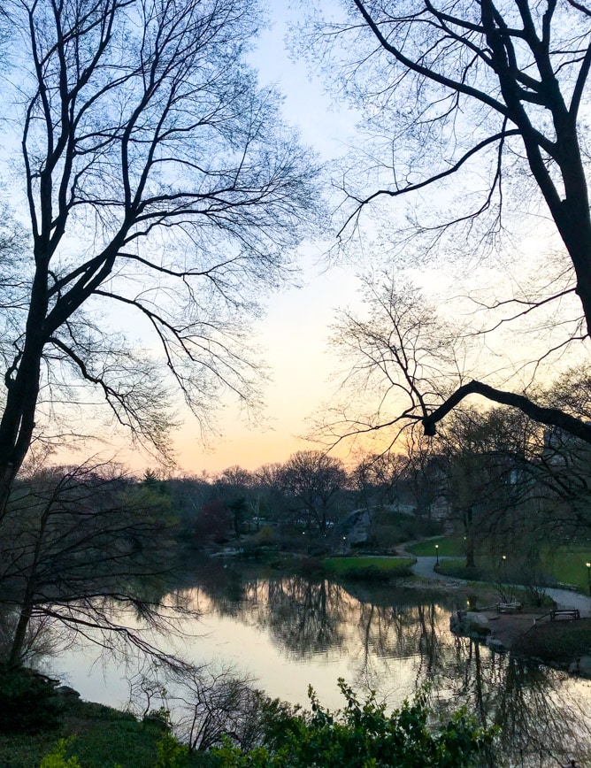 an NYC trip for The Pretty Dish I howsweeteats.com