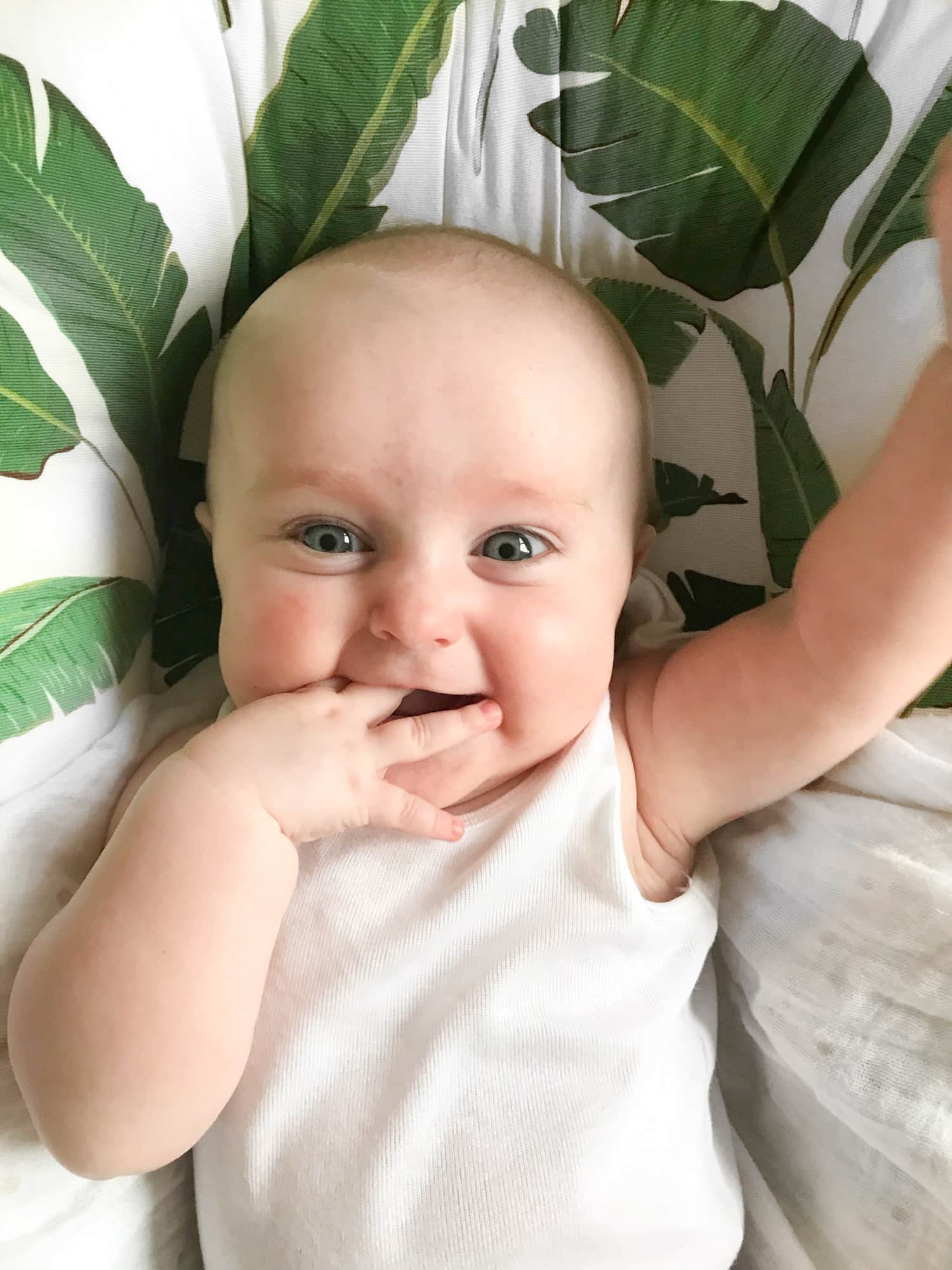 emilia at 7 months I howsweeteats.com