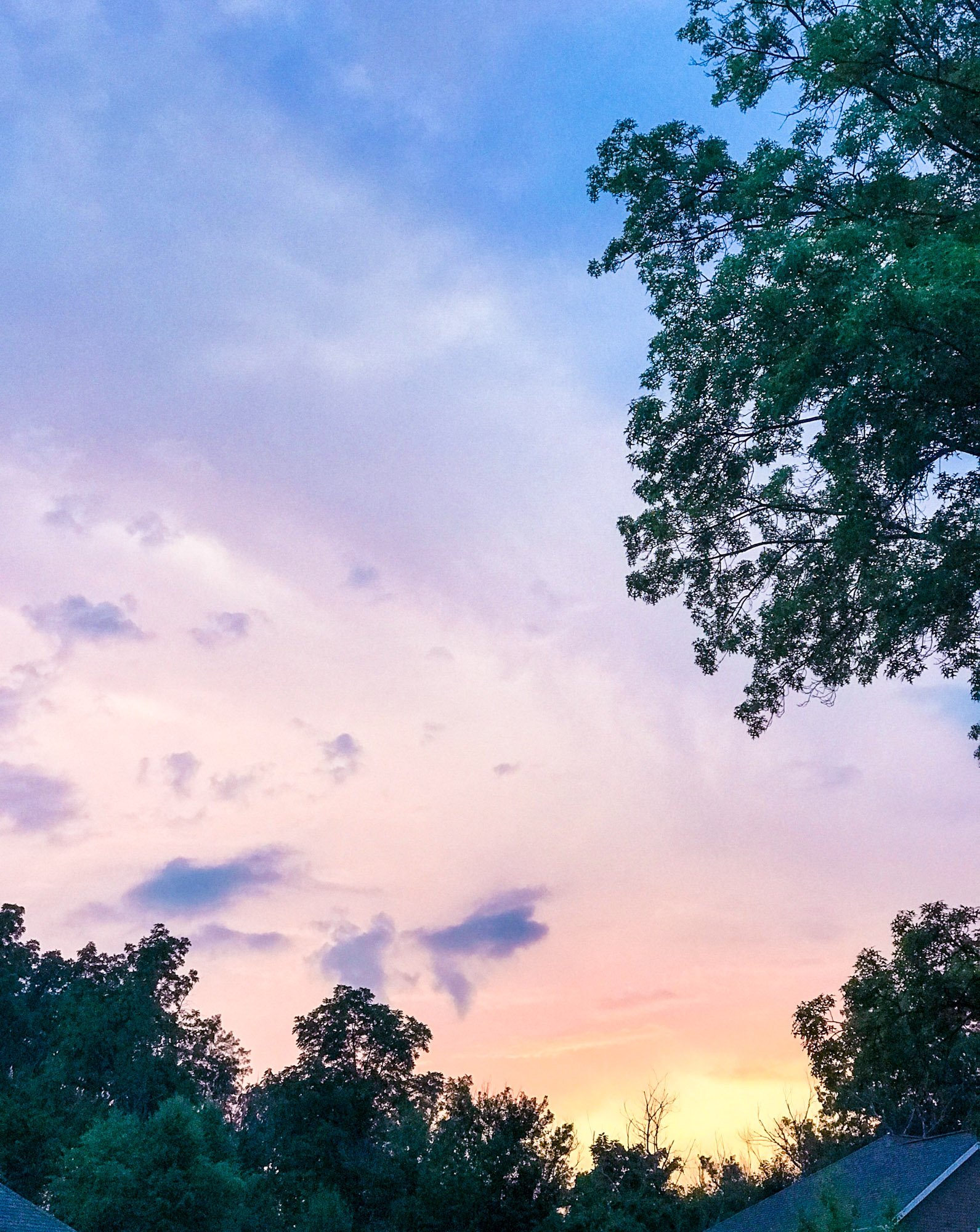 life lately I howsweeteats.com