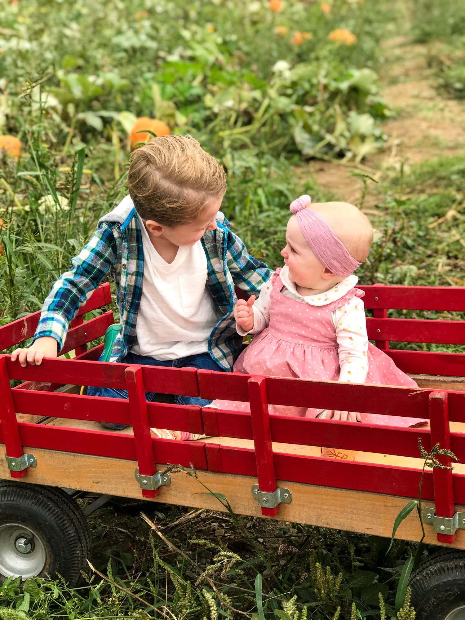 adventures in apple picking I howsweeteats.com