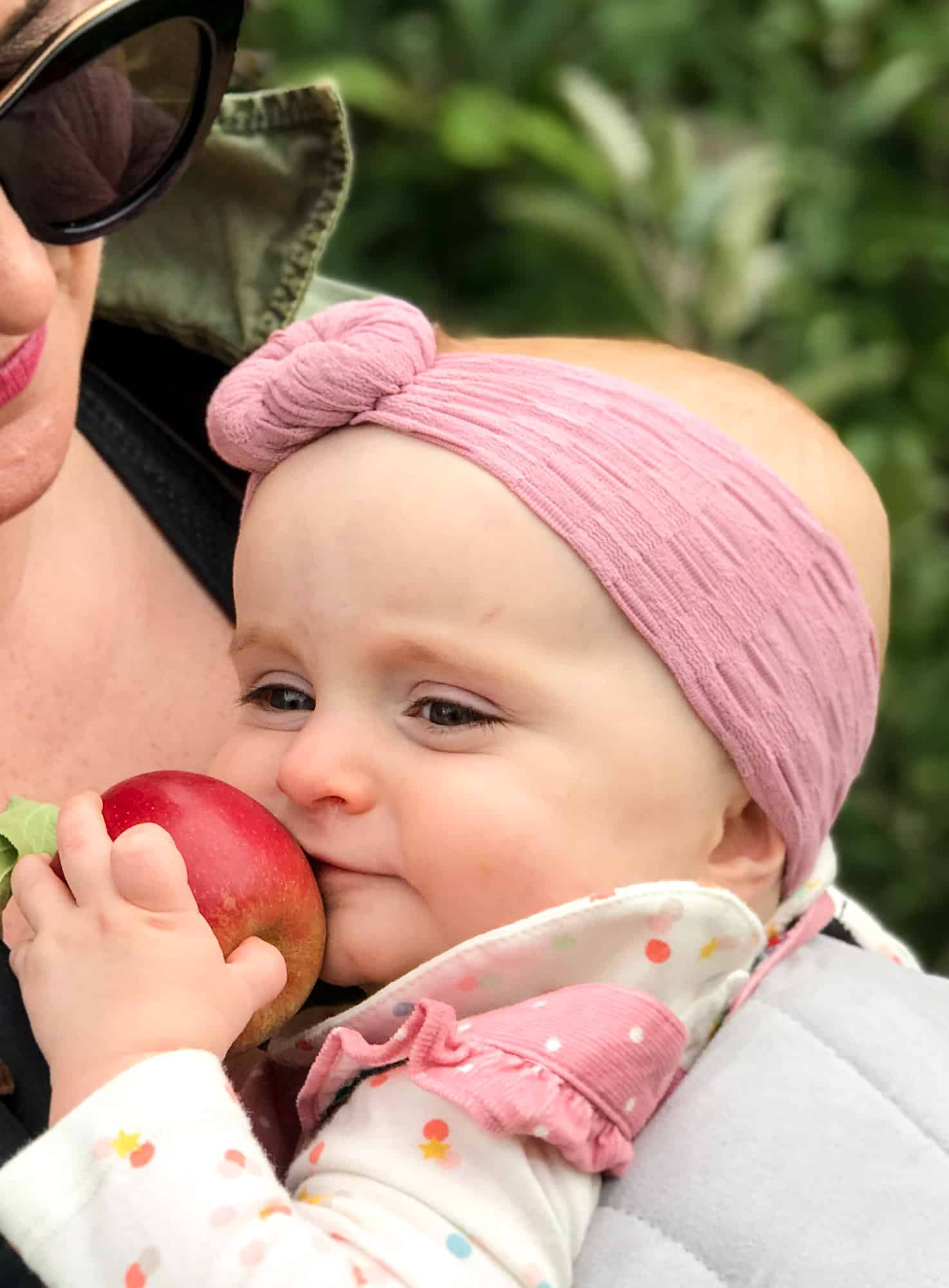 adventures in apple picking I howsweeteats.com