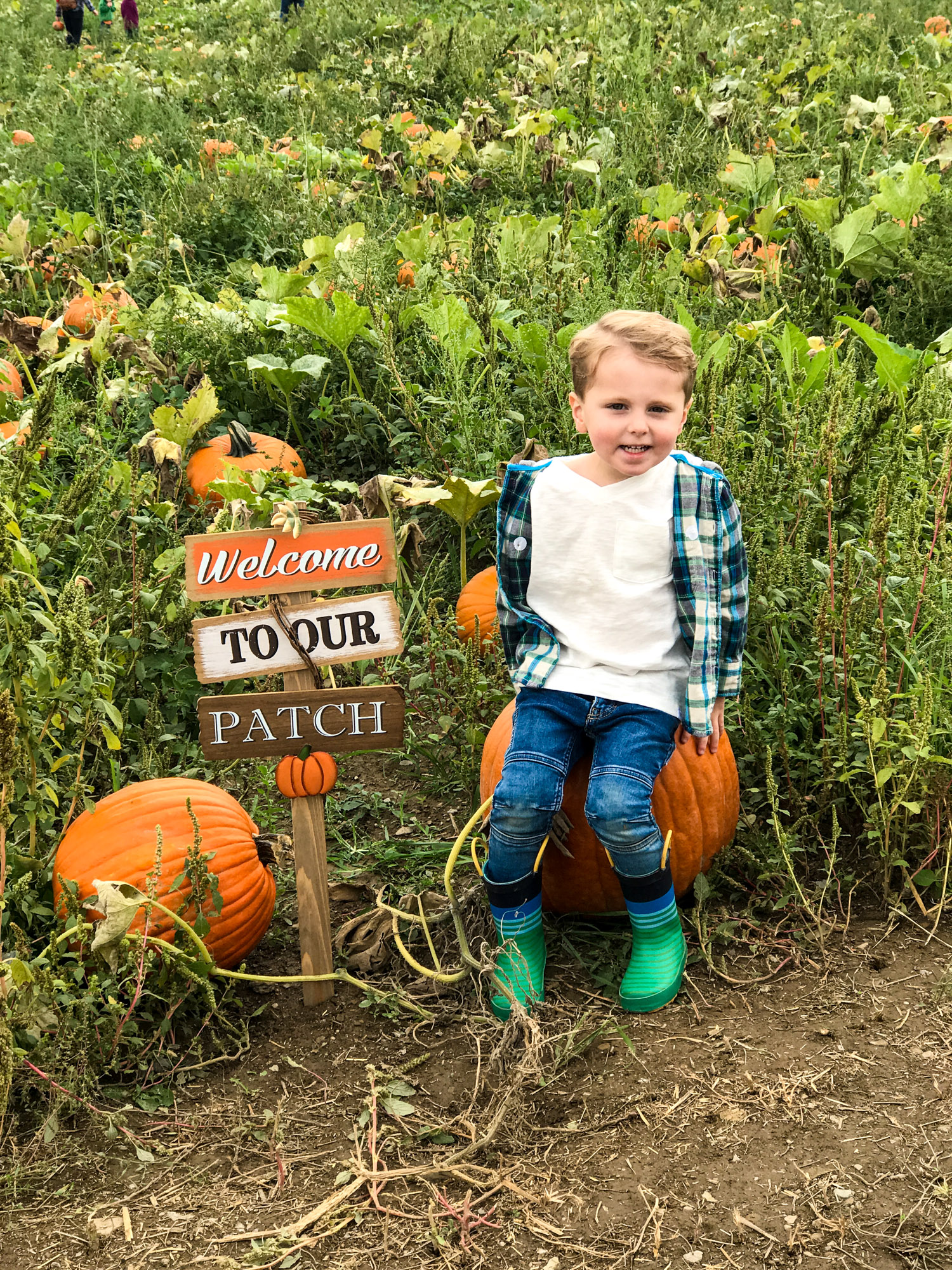 adventures in apple picking I howsweeteats.com