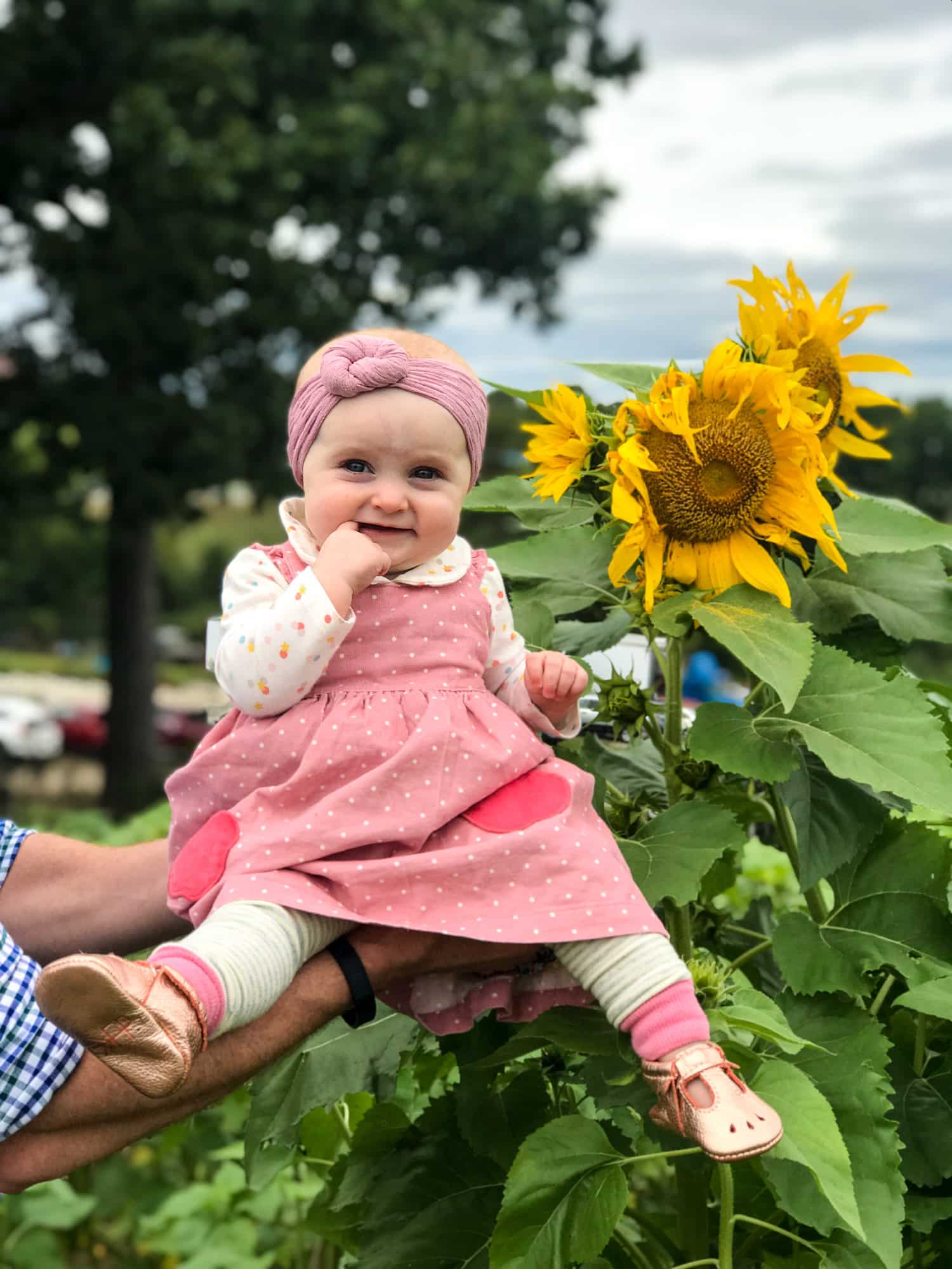 adventures in apple picking I howsweeteats.com