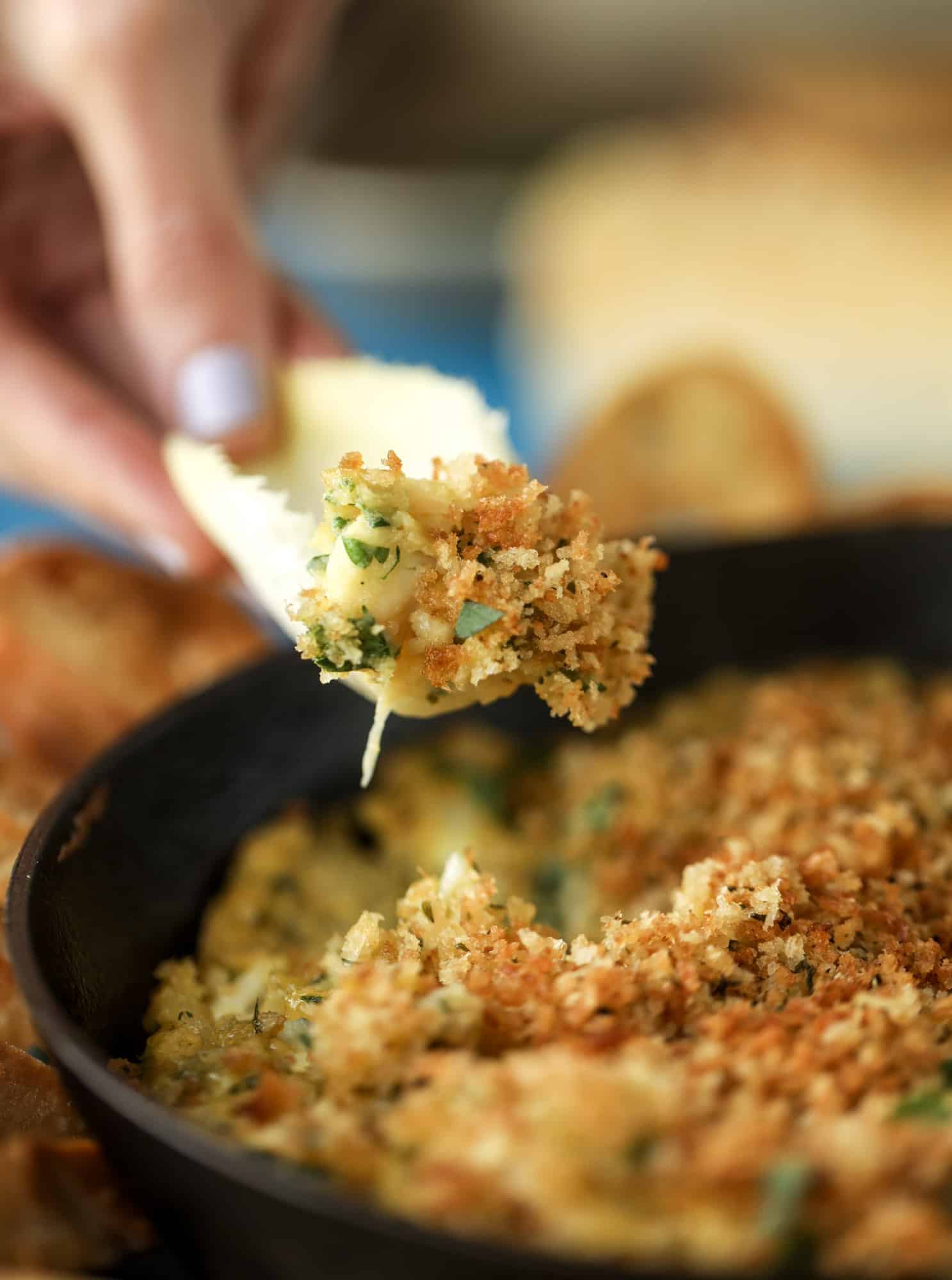 This deviled crab dip is the perfect hot summer appetizer. Lump crab, a creamy, decadent sauce, crunchy breadcrumbs and fresh endive for dipping. YES.