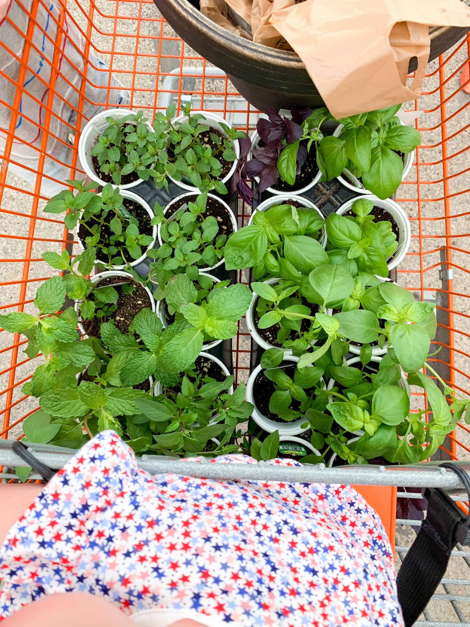 memorial day weekend photo diary