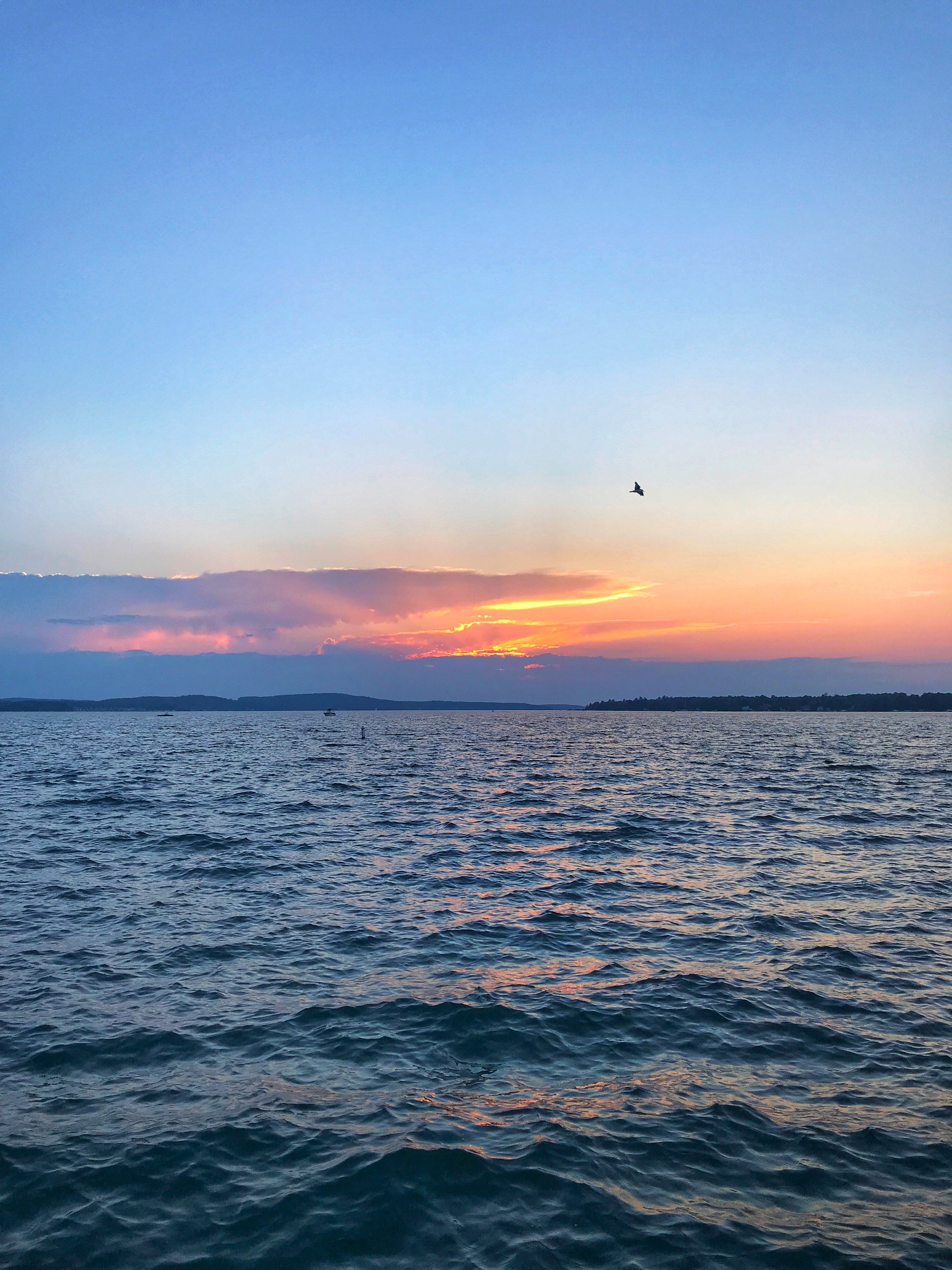 My summer 2019 reading list is here! It's chock full of 25 books that I can't wait to read this season! Can't wait to hear your suggestions too!