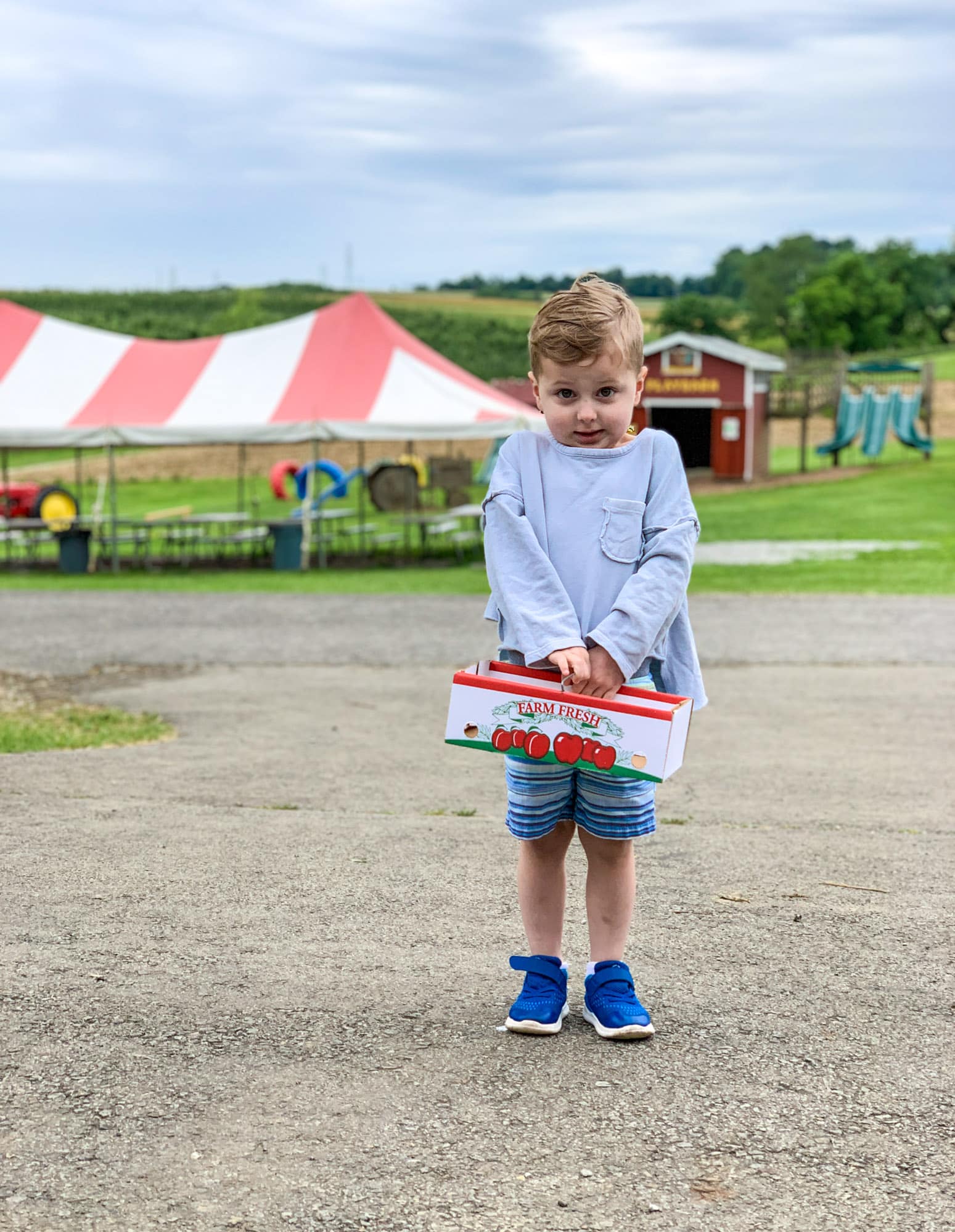strawberry picking photo diary