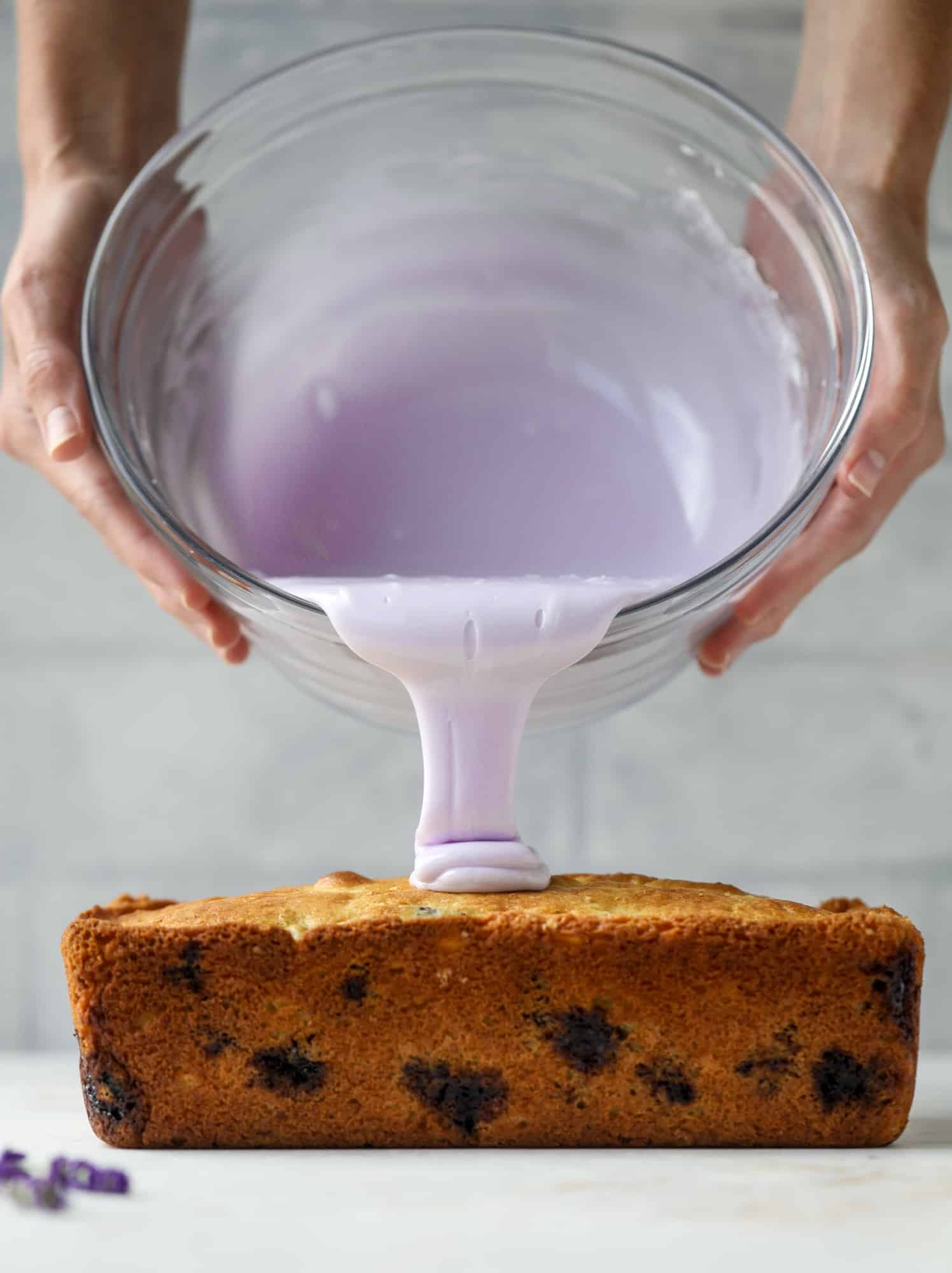 This lovely blueberry ricotta cake is covered in a lavender glaze and the perfect recipe for blueberry season! It's rich and light and super flavorful.