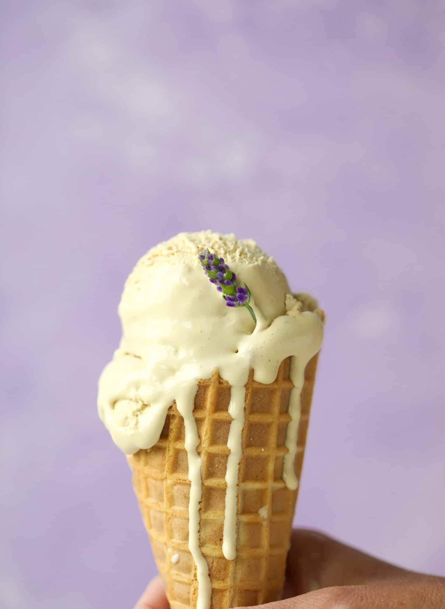 This lavender coffee ice cream is my favorite morning drink in dessert form! Fresh lavender, vanilla and a whole bunch of spices make this incredible.