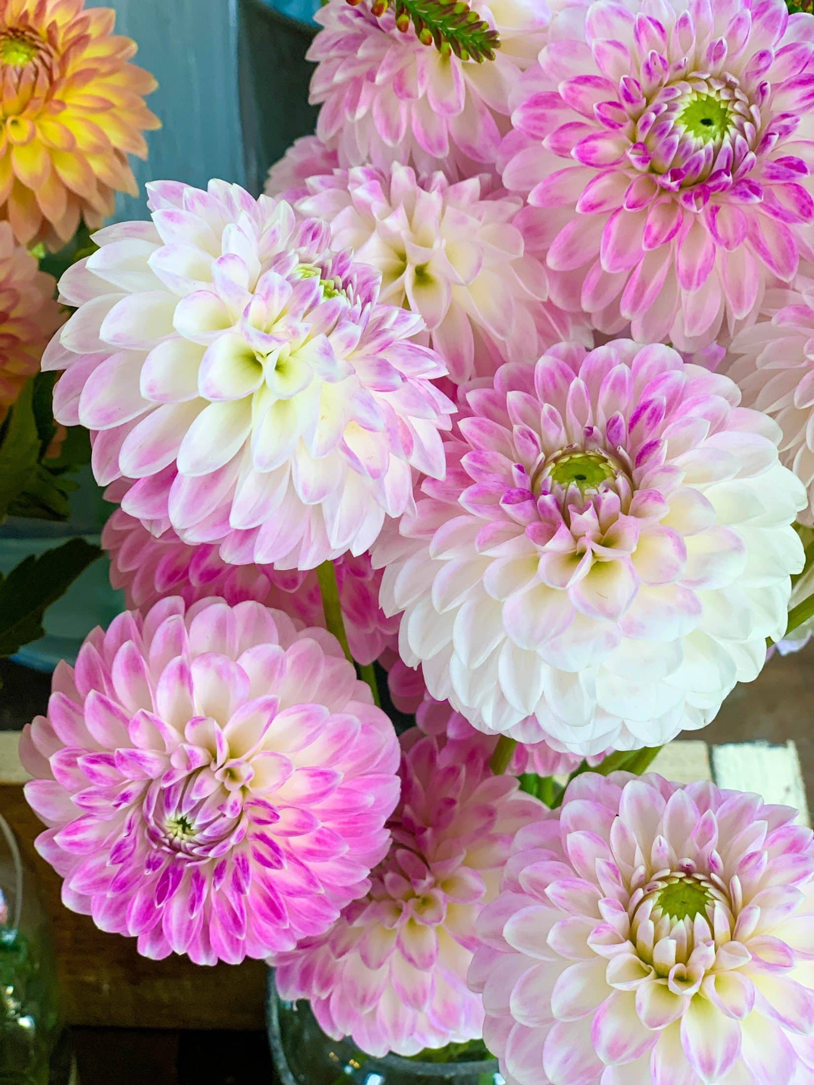 on my creative process for blogging