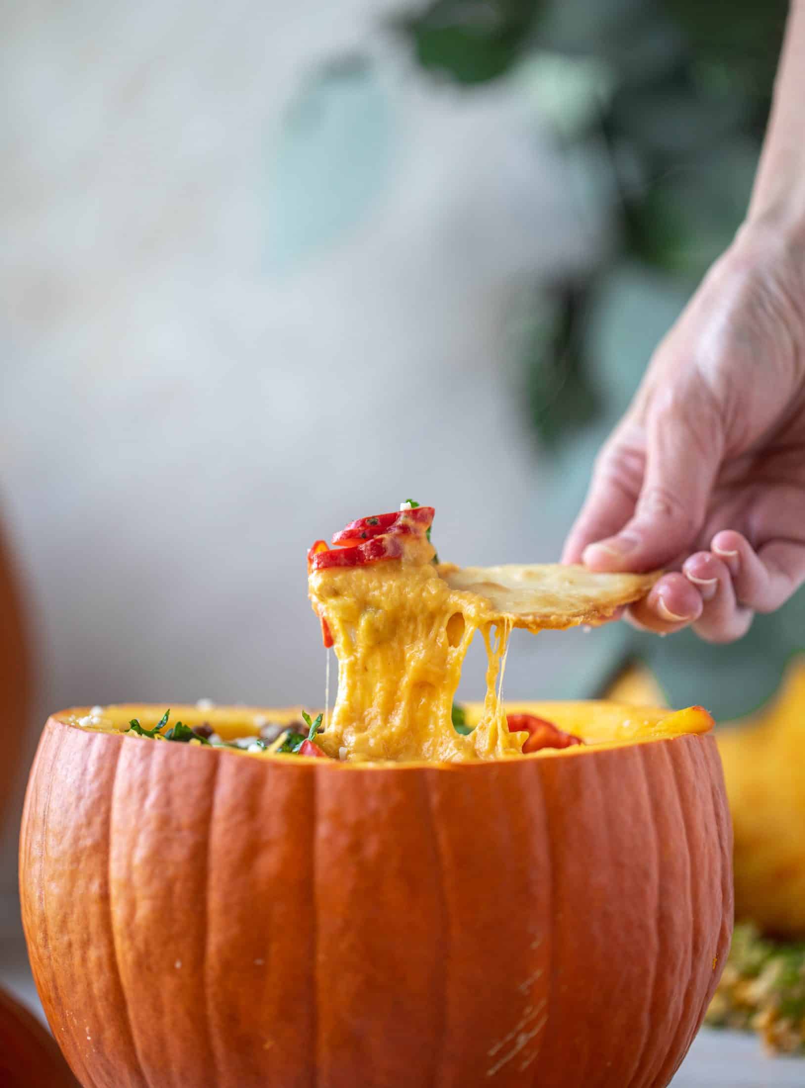 This pumpkin queso fundido is the perfect indulgence for fall. Warm pumpkin queso topped with chroizo, pepitas and jalapeños. It's delish! 