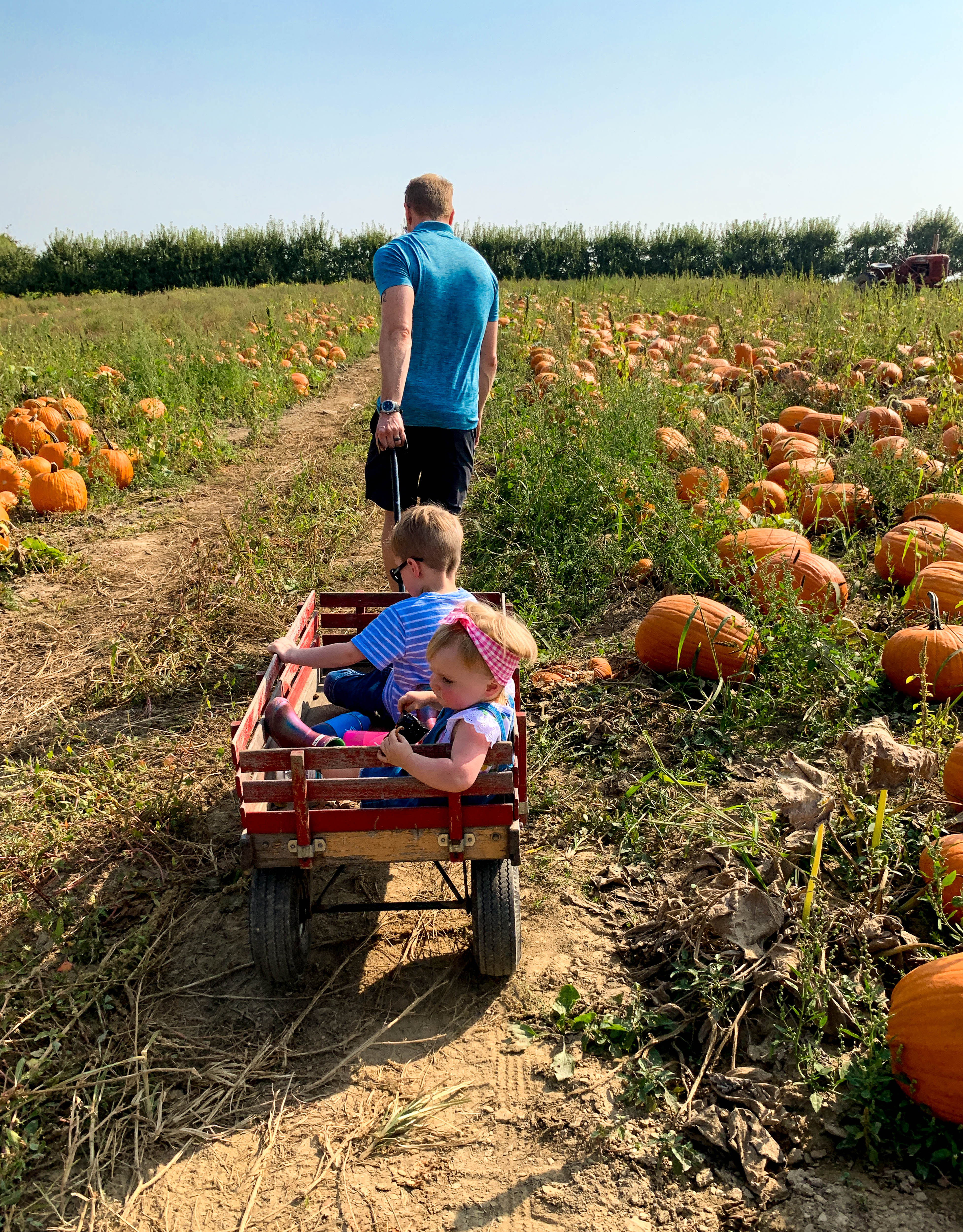 2019 apple picking photo diary I howsweeteats