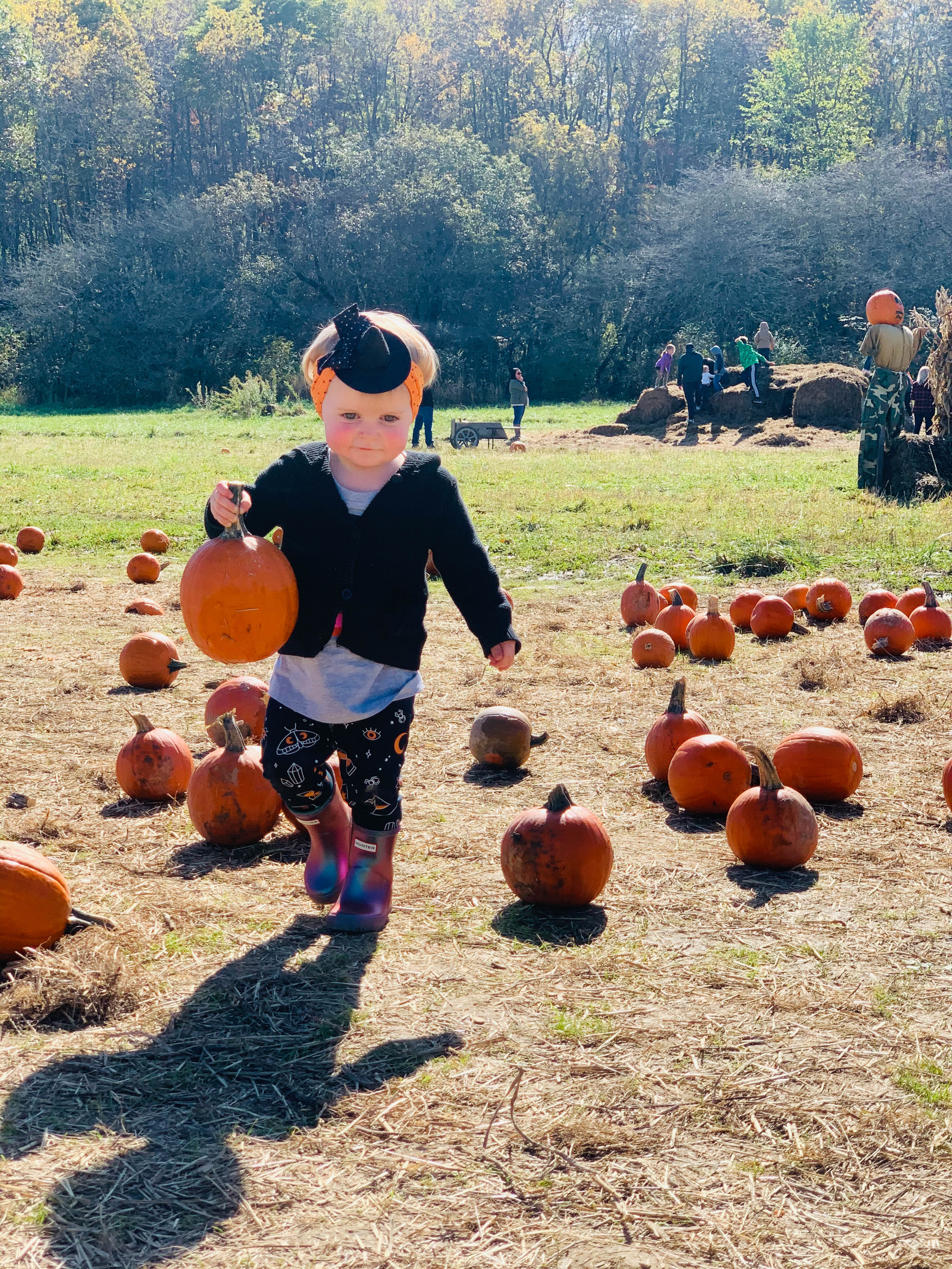 october weekends I howsweeteats