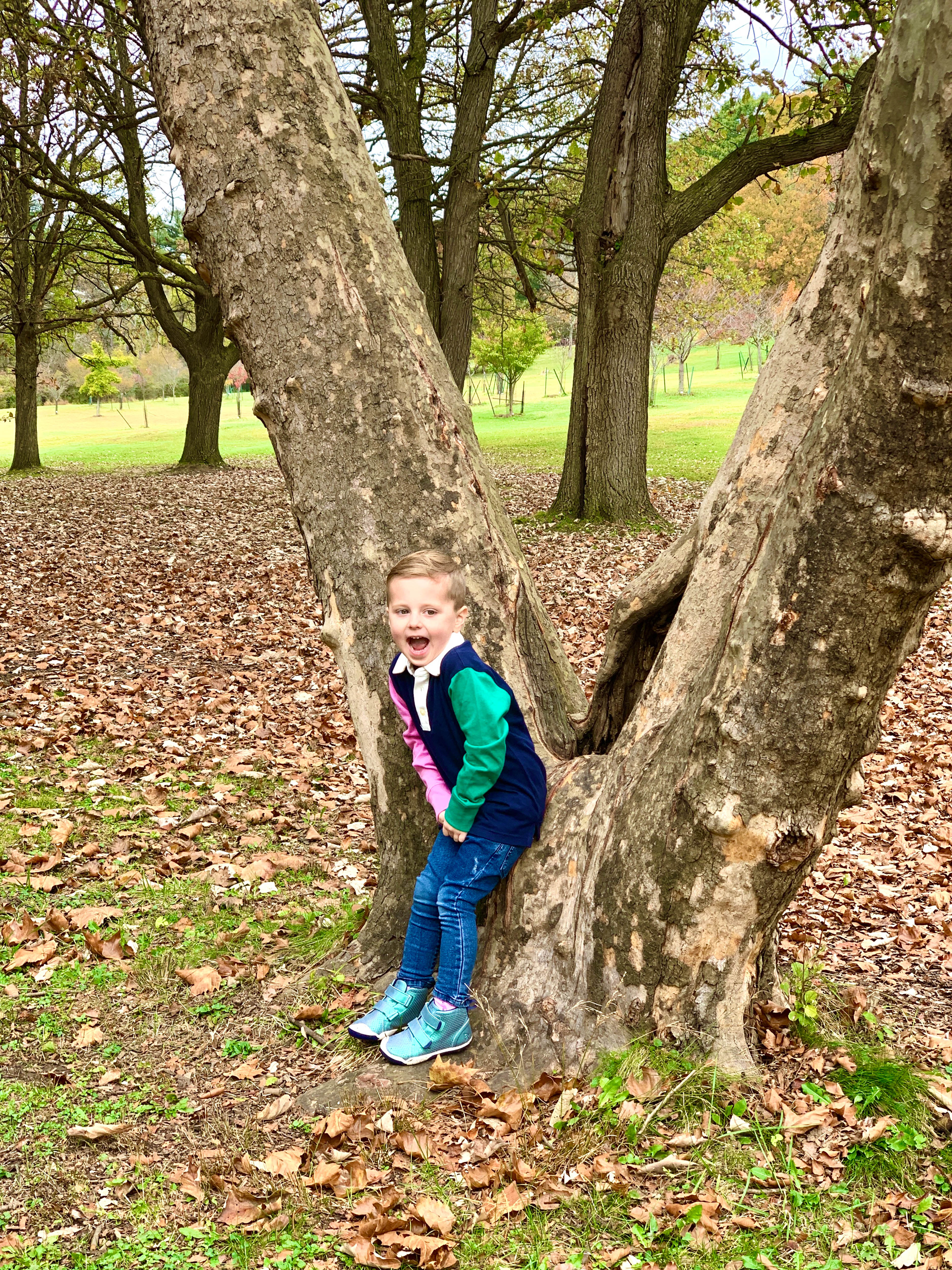 october weekends I howsweeteats