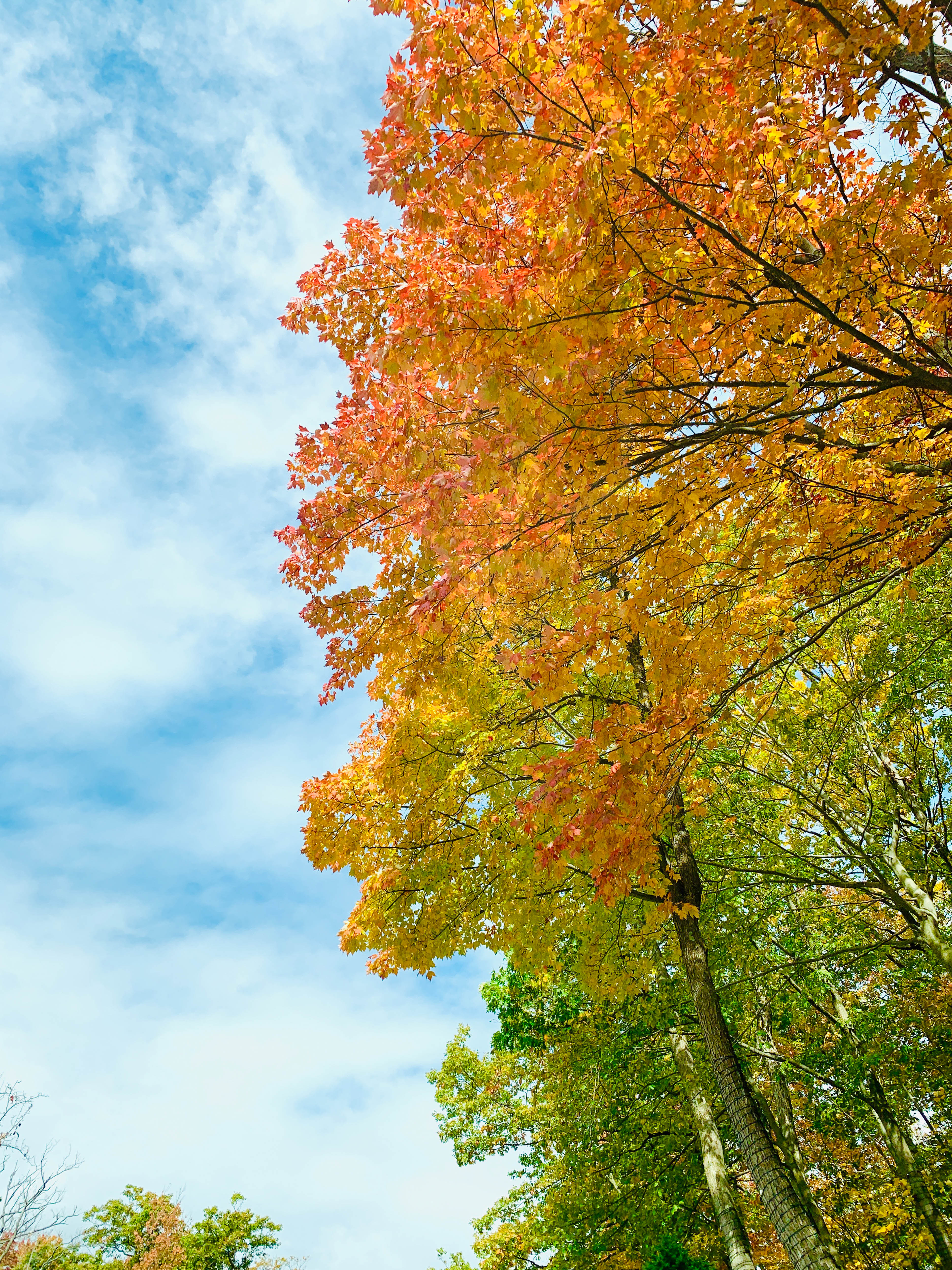 october weekends I howsweeteats