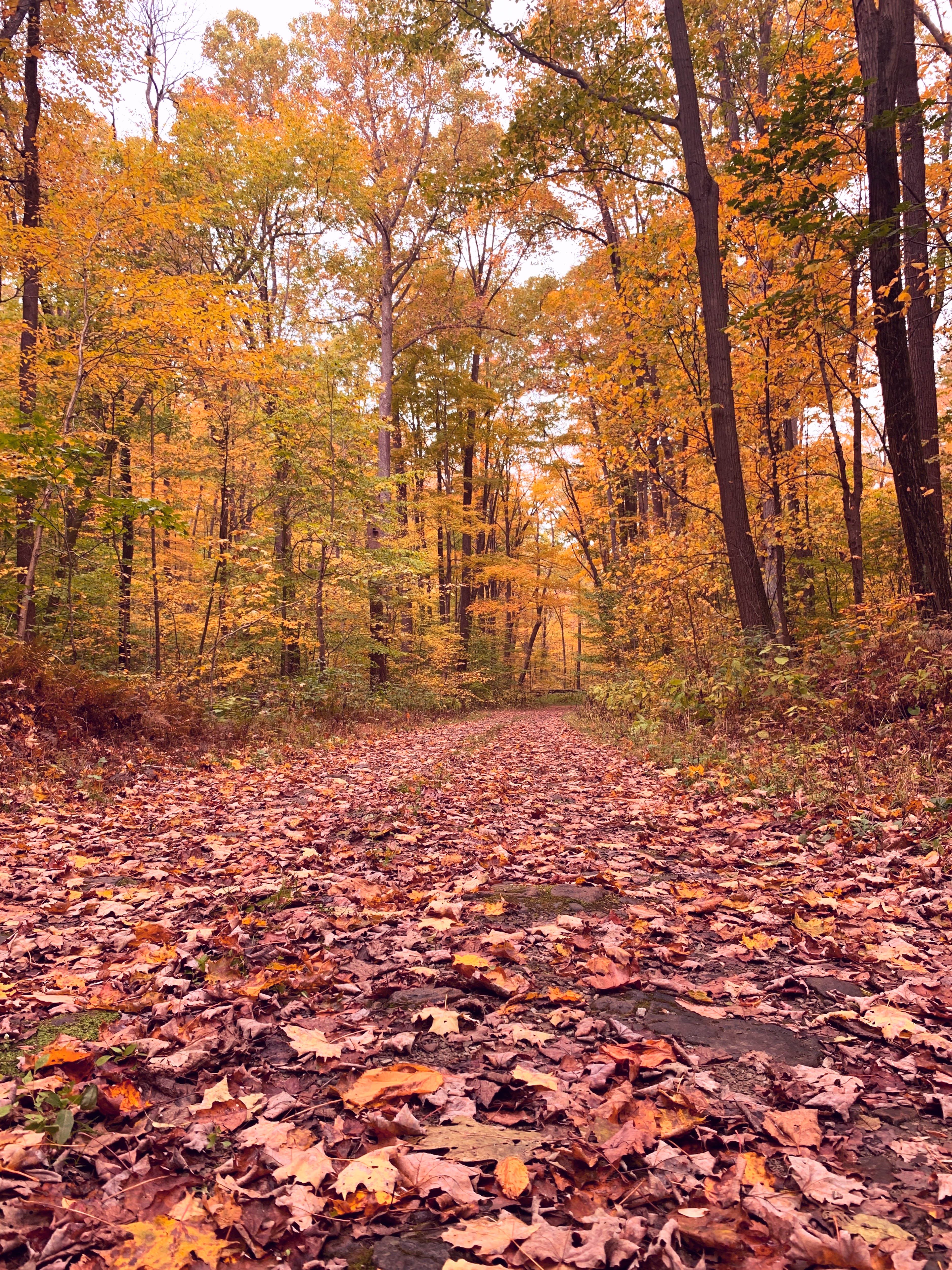 october weekends I howsweeteats