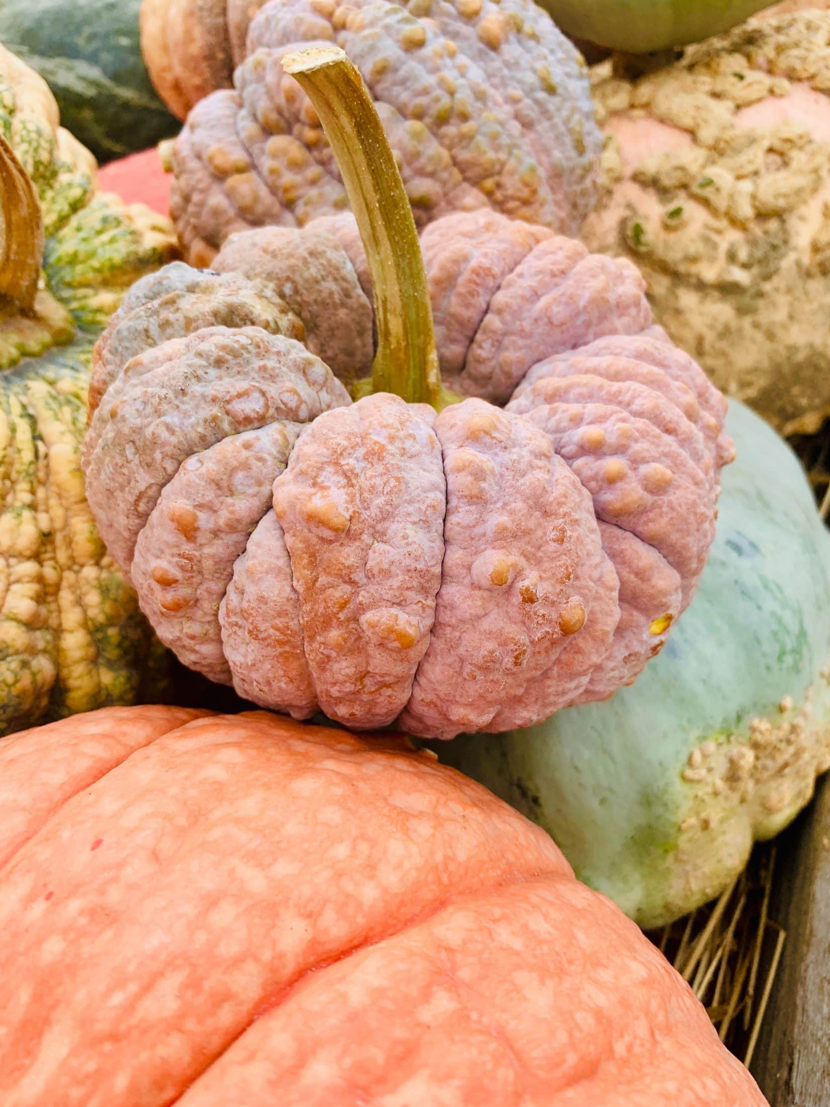 october weekends I howsweeteats