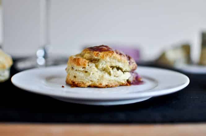 Sharing 25 of my favorite holiday recipes to make over christmas break, from brunch to dinner, cocktails and dessert! So many options.