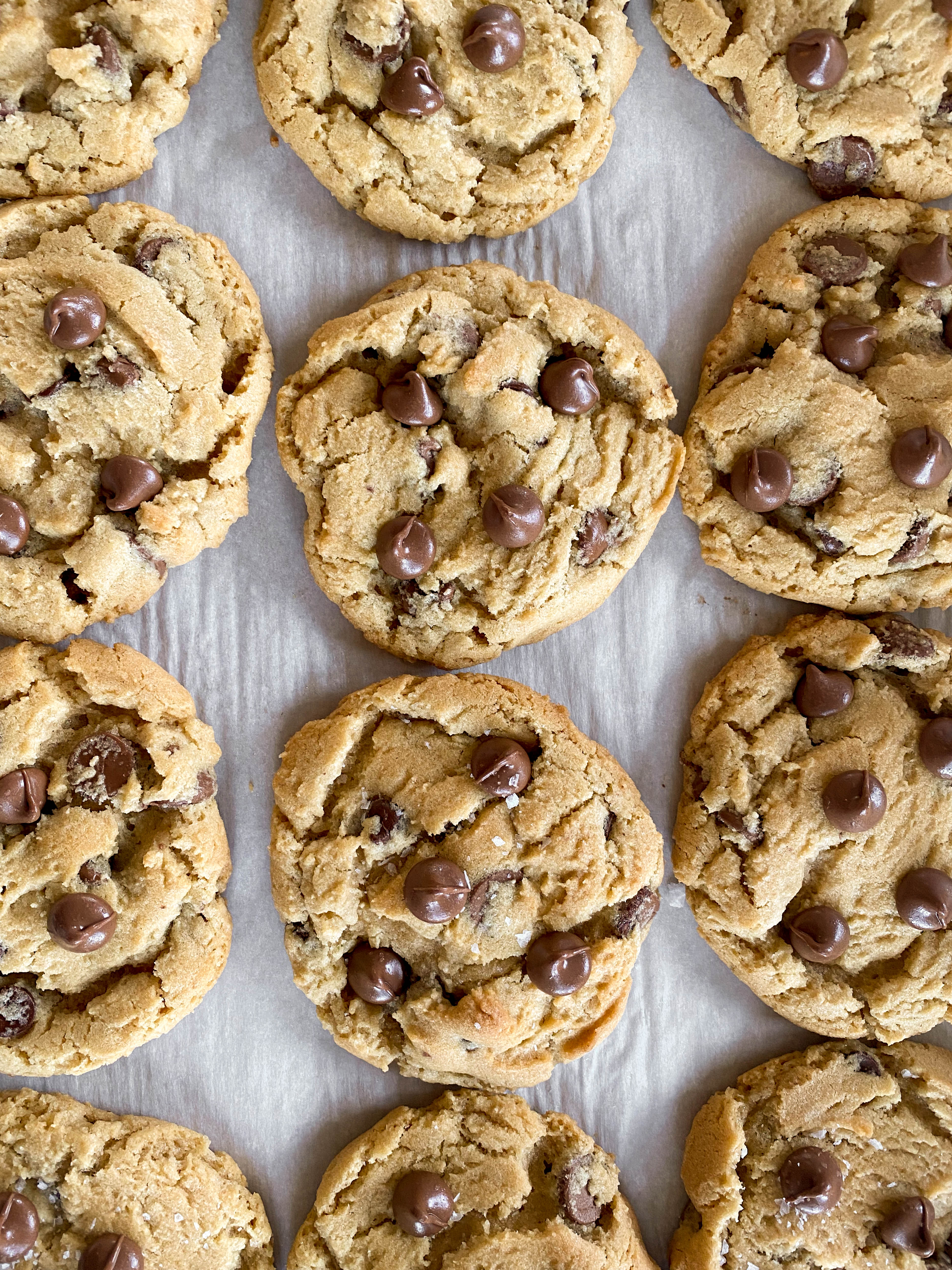 christmas break 2019