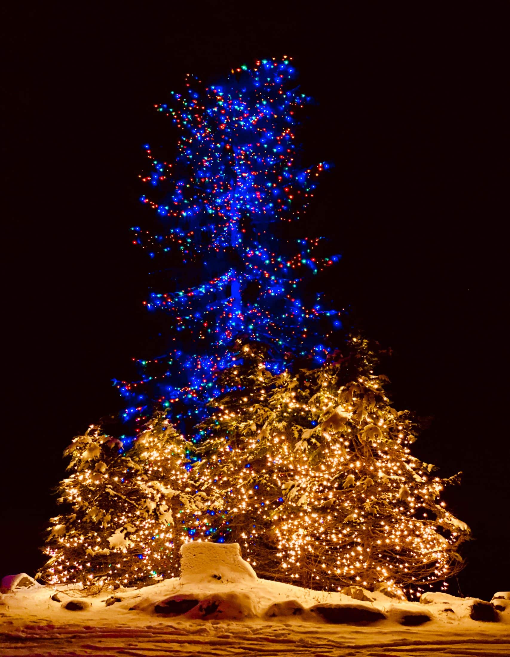 christmas break 2019