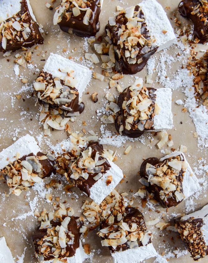 Sharing 25 of my favorite holiday recipes to make over christmas break, from brunch to dinner, cocktails and dessert! So many options.