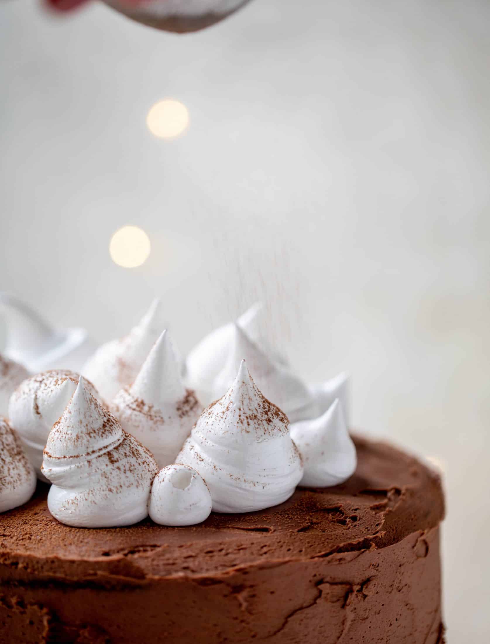 This hot cocoa cake is made with the fudgiest chocolate cake, smothered in chocolate cream cheese frosting and dolloped with whipped marshmallow!