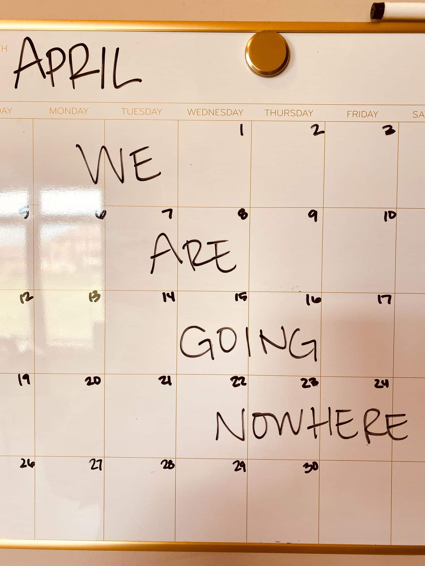 a week in the life, week 14