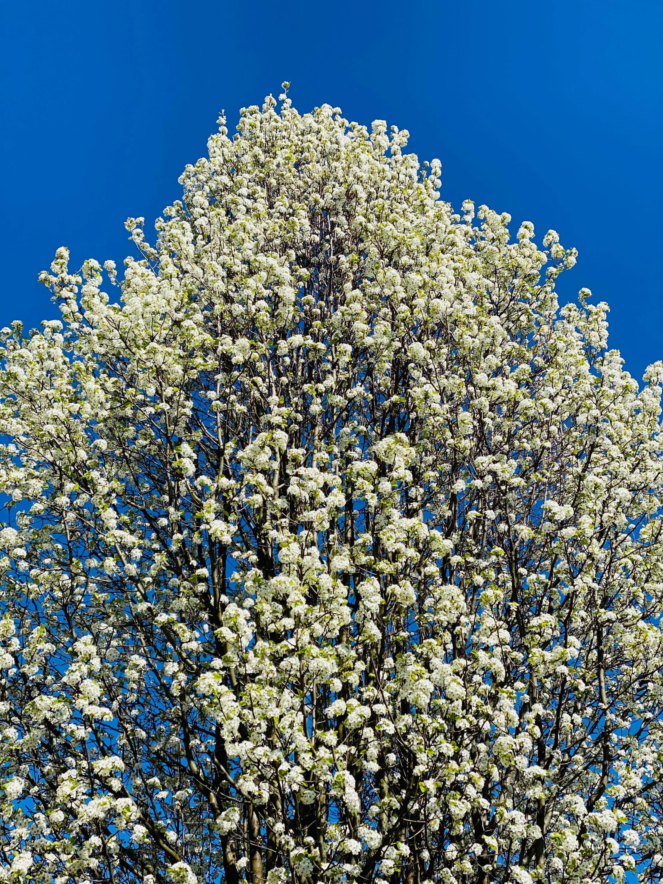 a week in the life, week 14