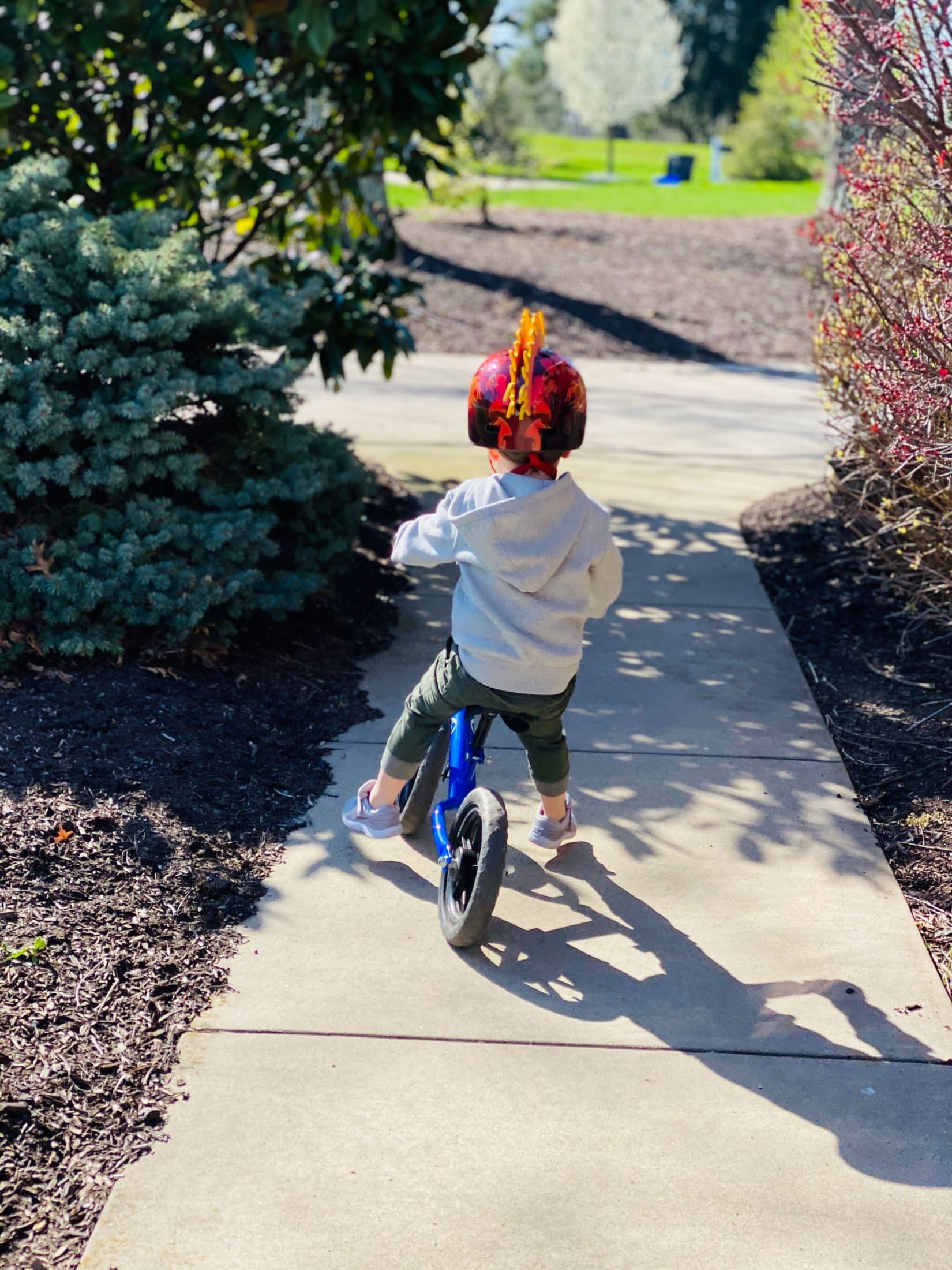 a week in the life, week 14