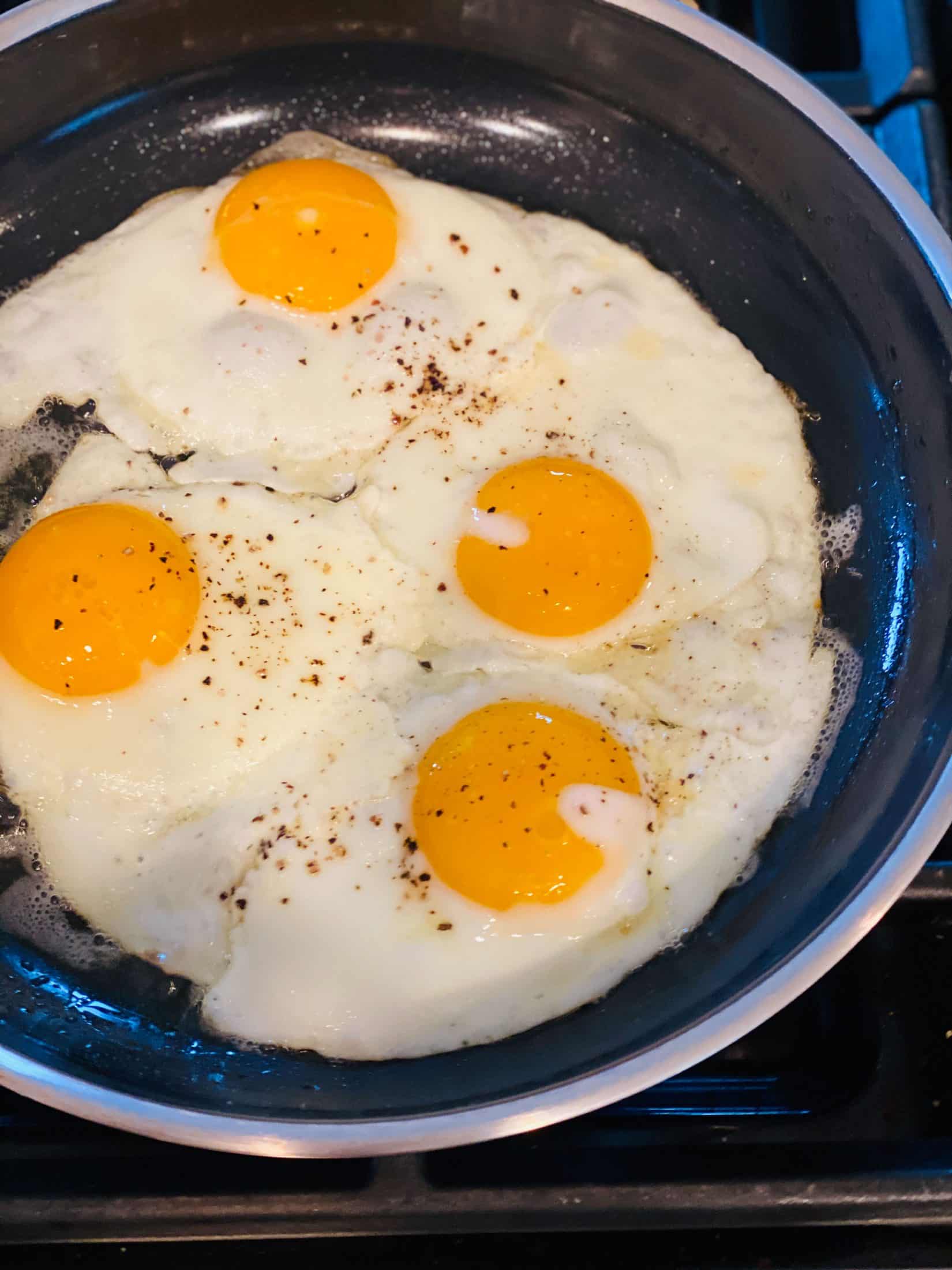 everyday life week 16