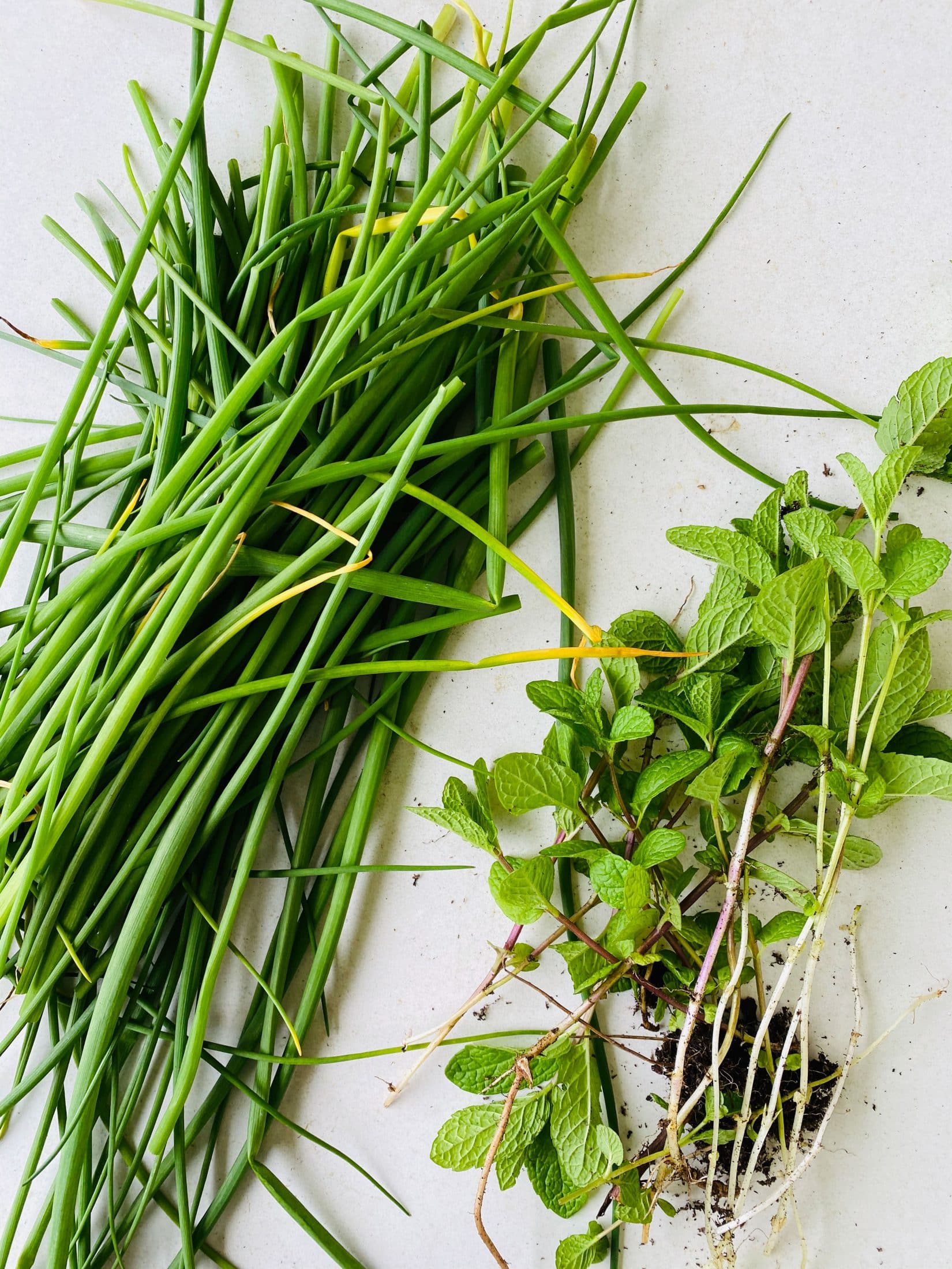 everyday life week 20