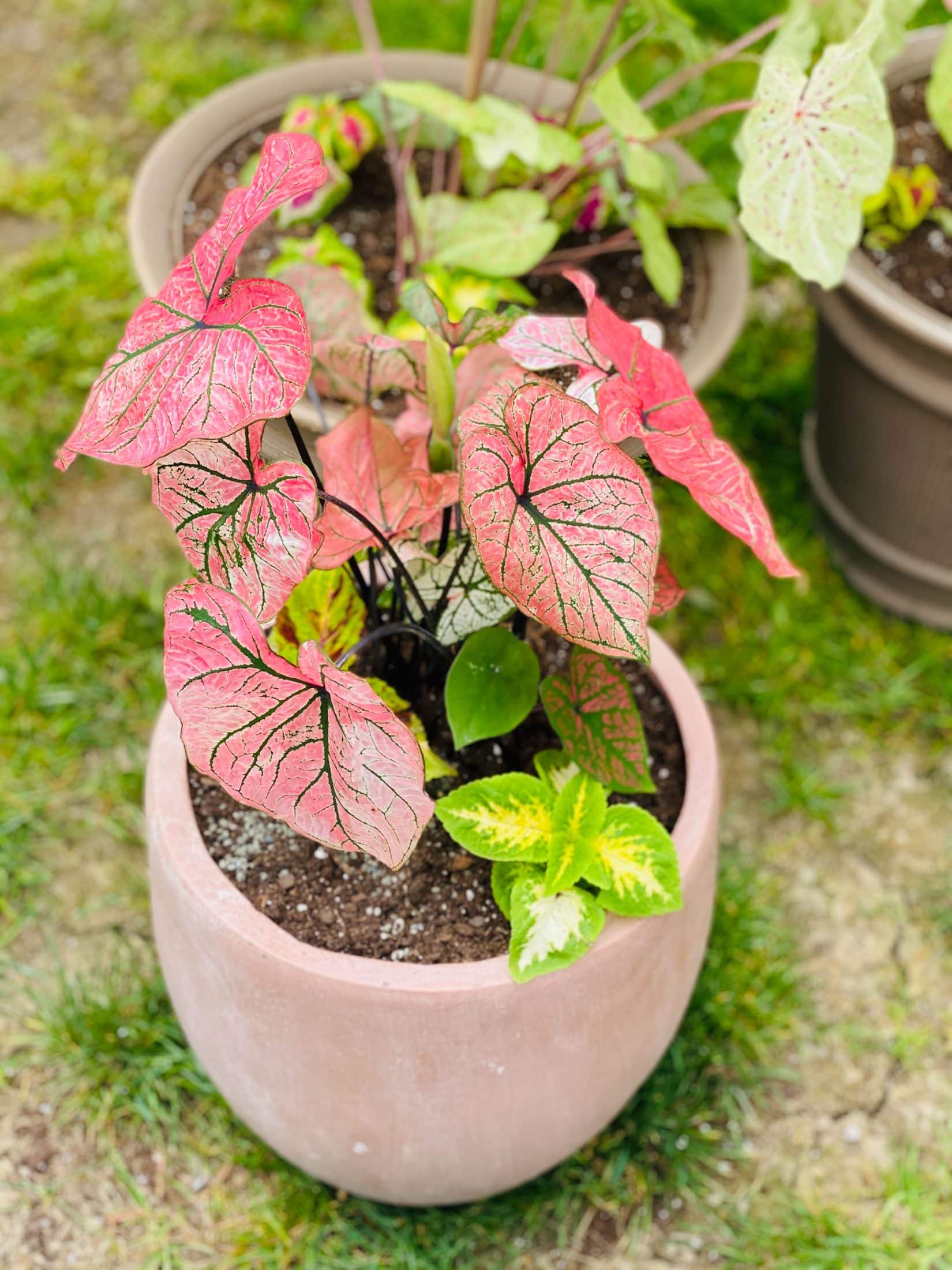 everyday life week 20