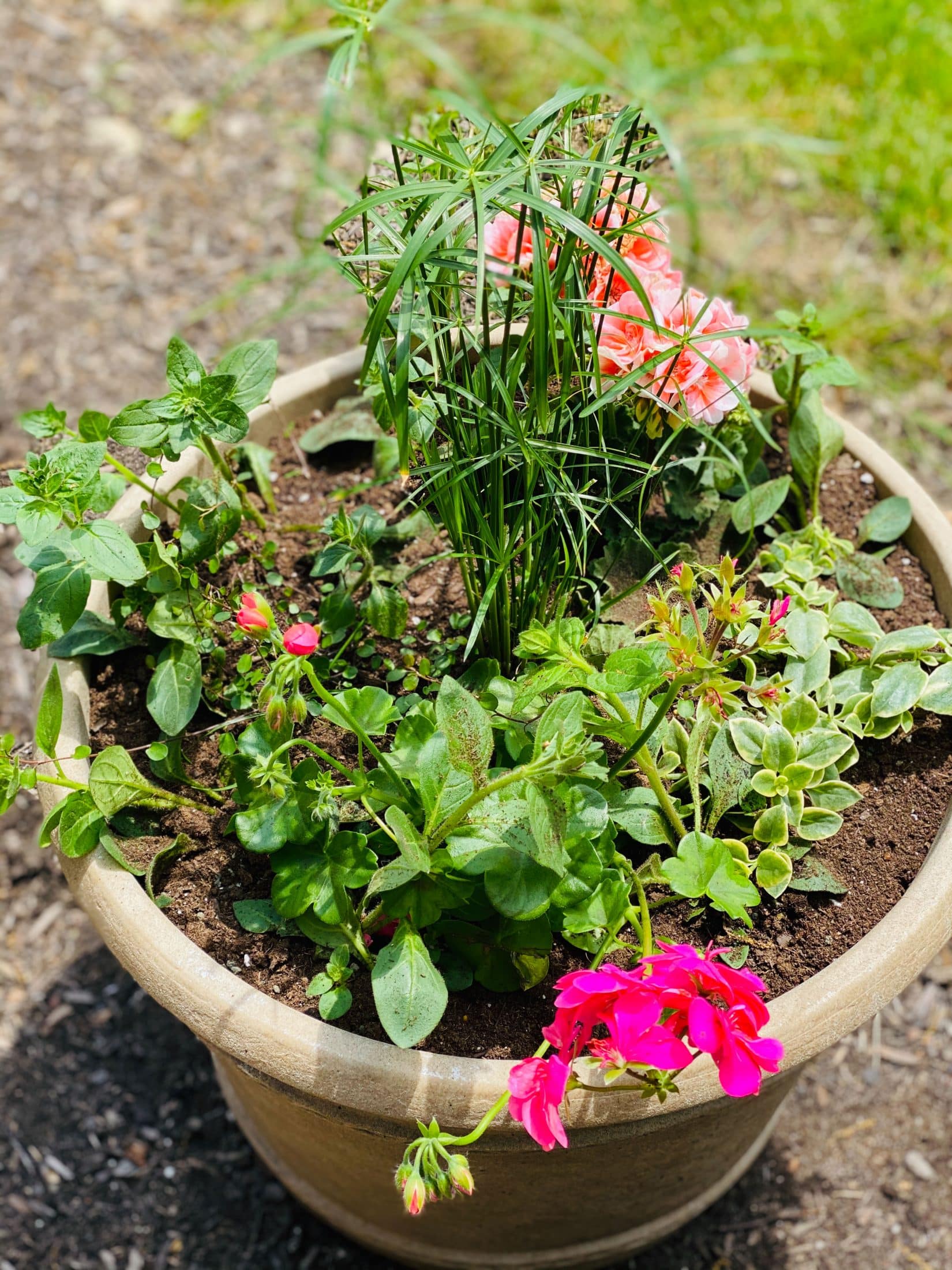 everyday life week 20