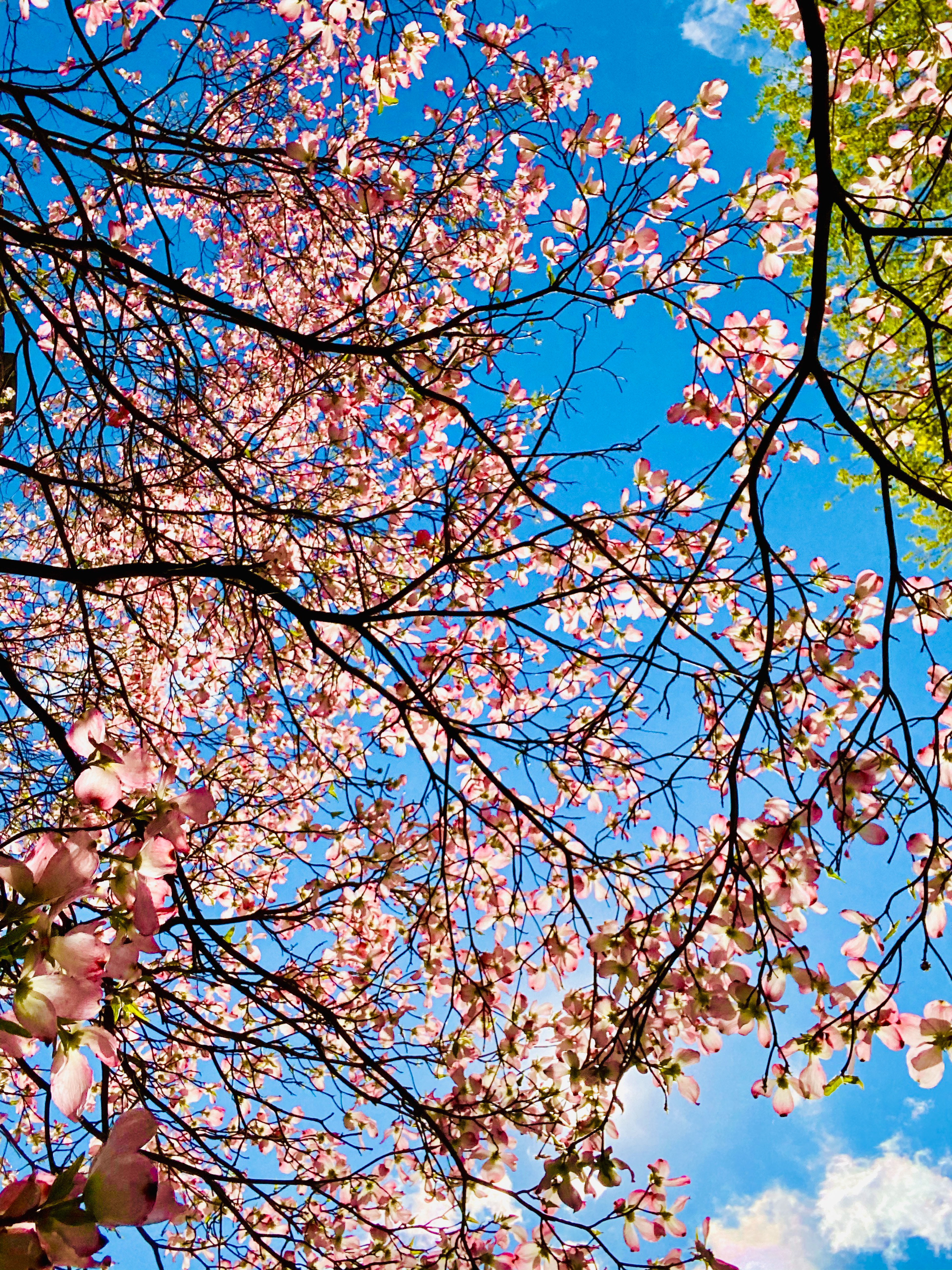 everyday life week 19