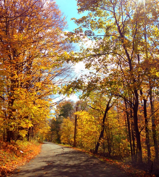 autumn I howsweeteats.com